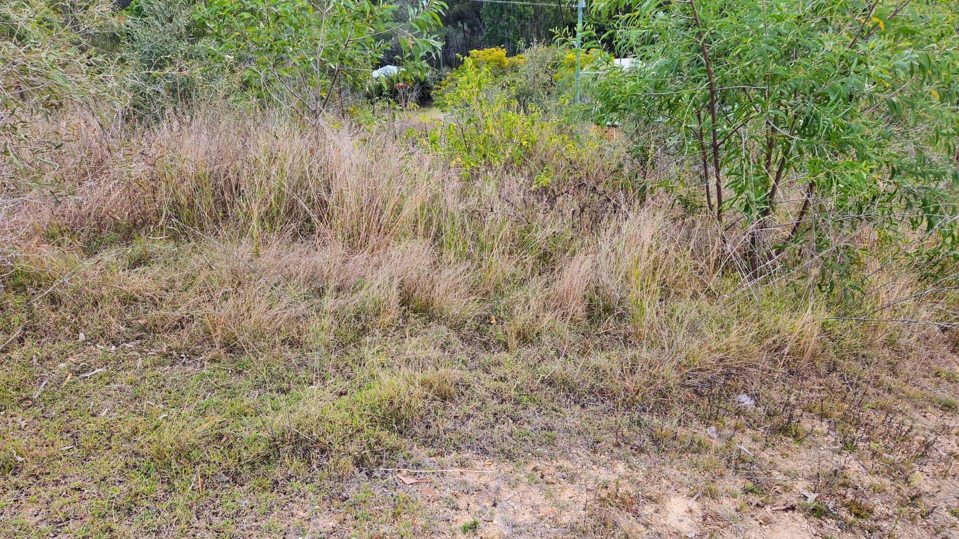Lot 122 Province Street, Mount Perry QLD 4671, Mount Perry - Thumbnail 5