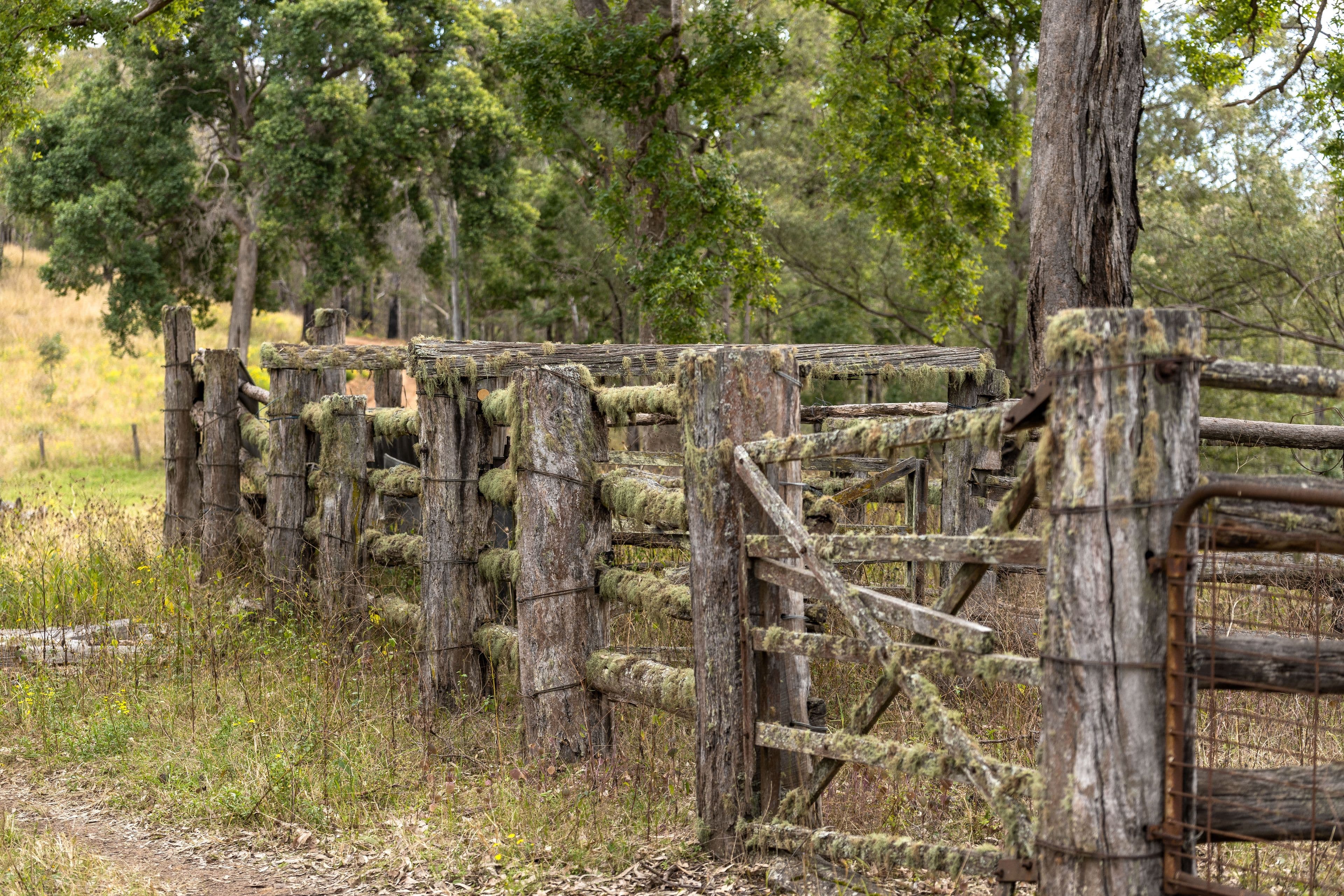 Lot 87 McPhersons Country Estates, Enfield Range Road, Cells River NSW 2424, Cells River - Thumbnail 7