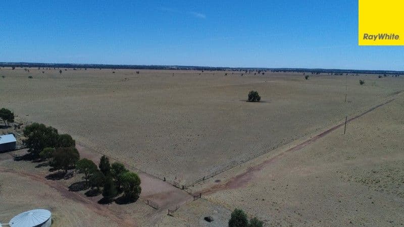 Argyle Downs 44 Woodford Road, BRUIE PLAINS NSW 2875, Bruie Plains - Thumbnail 6