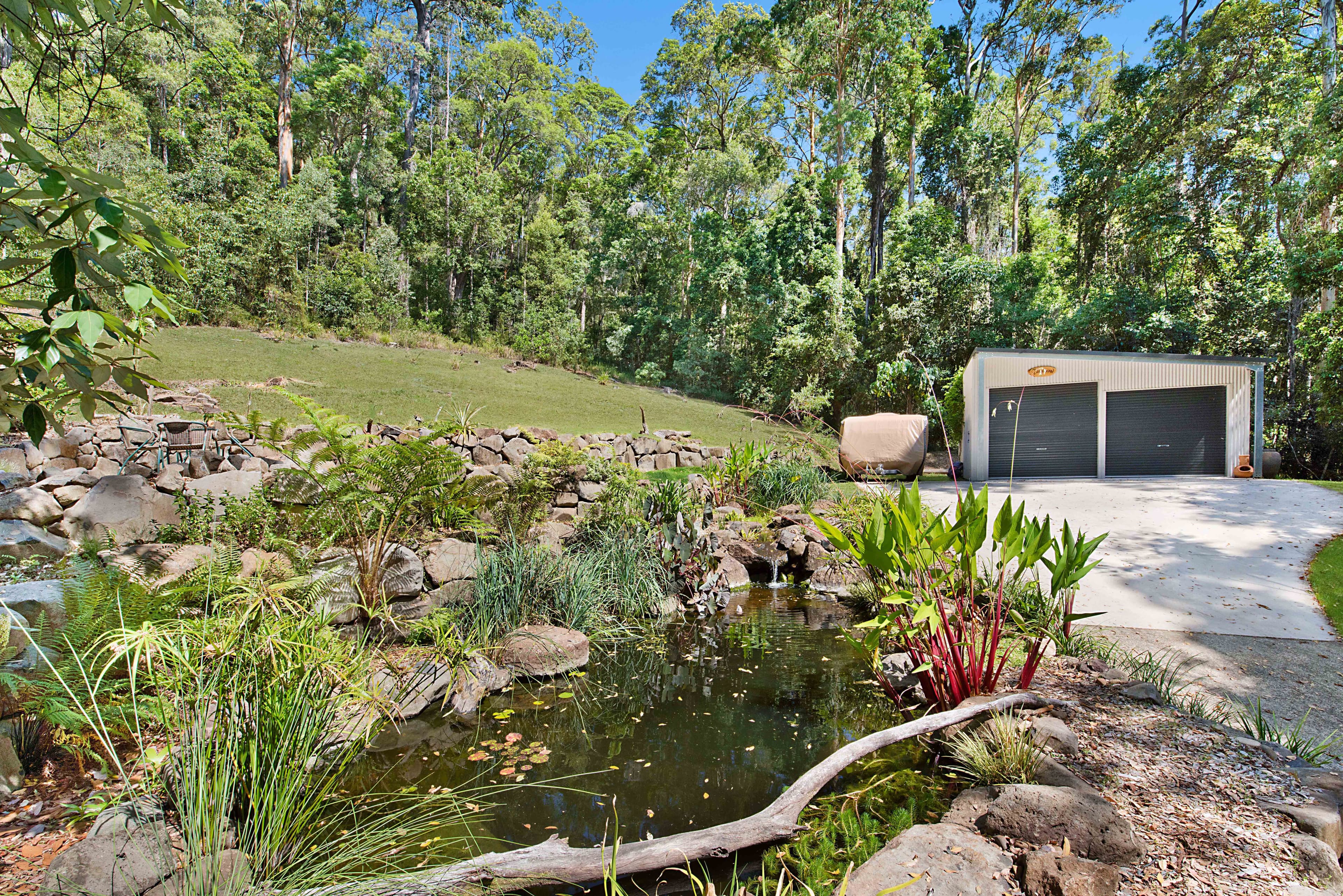 46 Toulambi Drive, Buderim QLD 4556, Buderim - Thumbnail 3