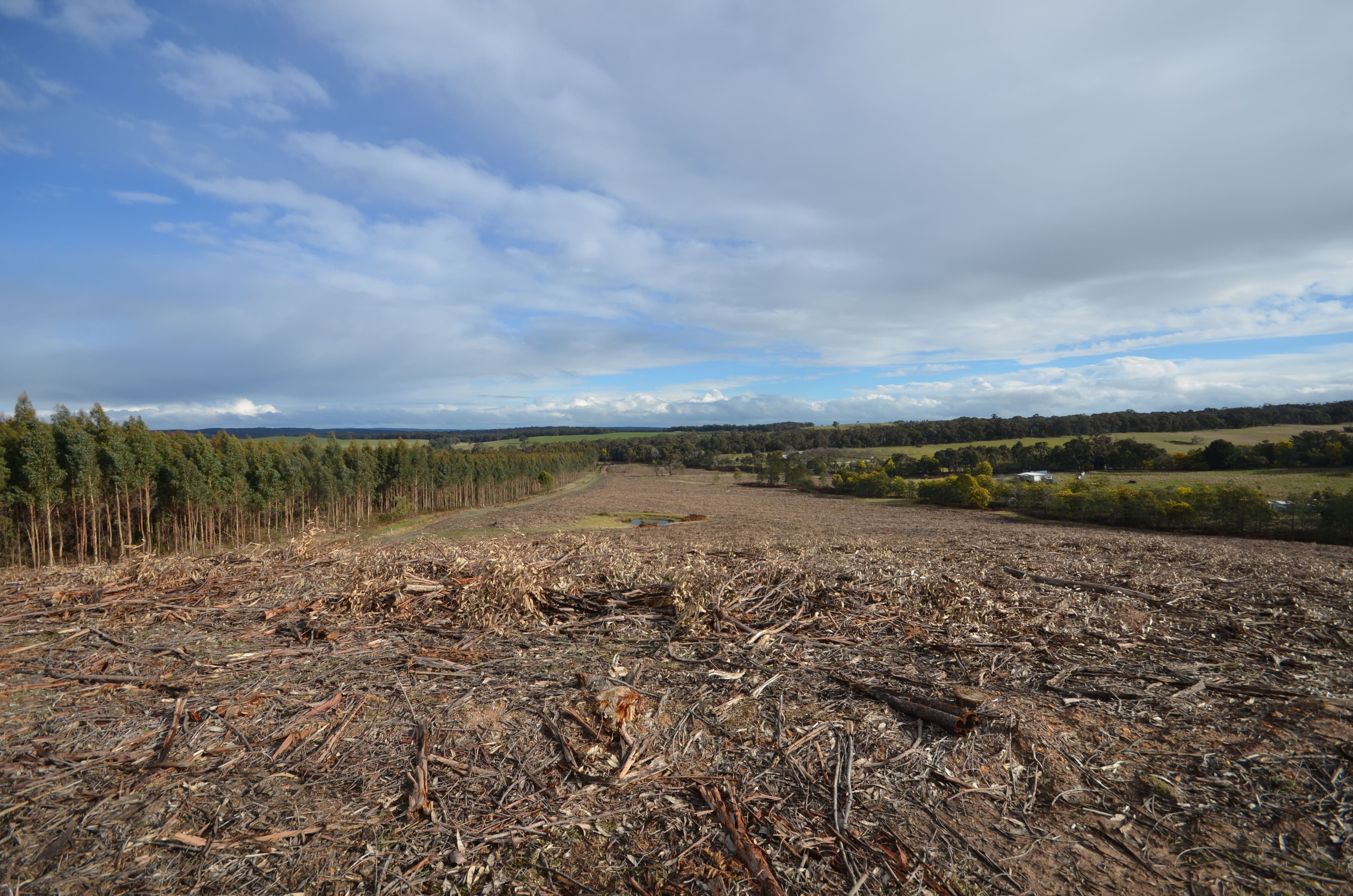 Papadimitriou Graveyard Hill Road, RAGLAN VIC 3373, Raglan - Image 1