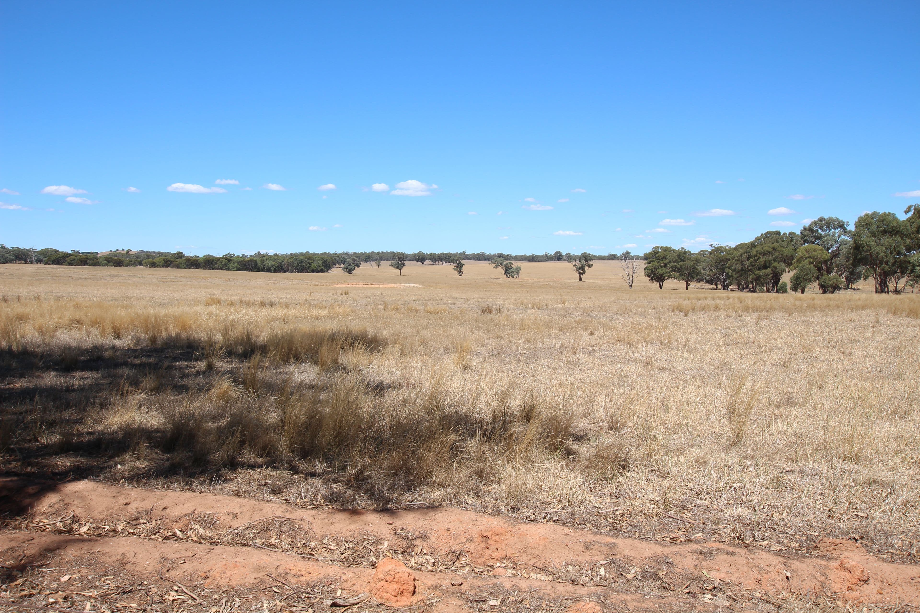 00 Vickers Road, COLBINABBIN VIC 3559, Colbinabbin - Thumbnail 4