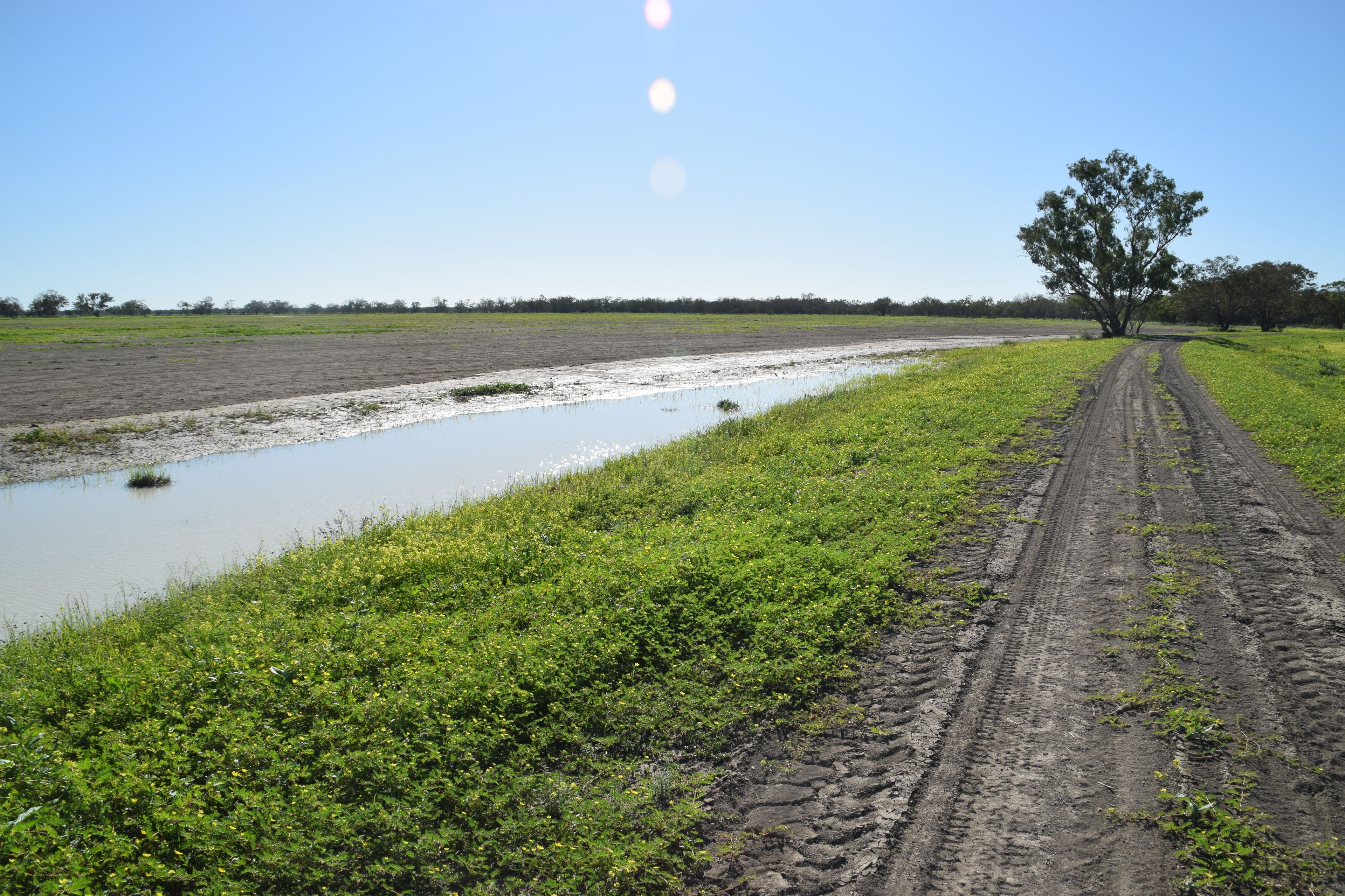 'Guiseley' 2606 Gingie Road, Walgett NSW 2832, Walgett - Thumbnail 2