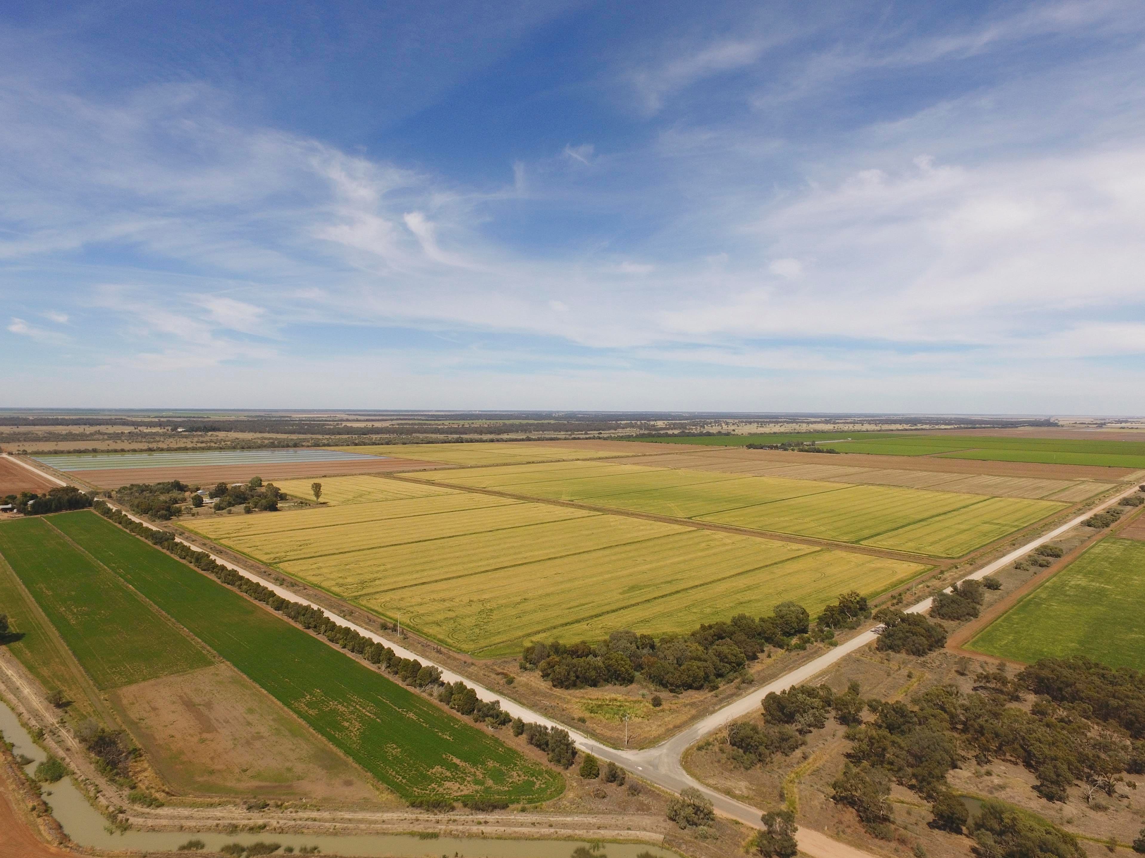 Griffith NSW 2680, Griffith - Image 1