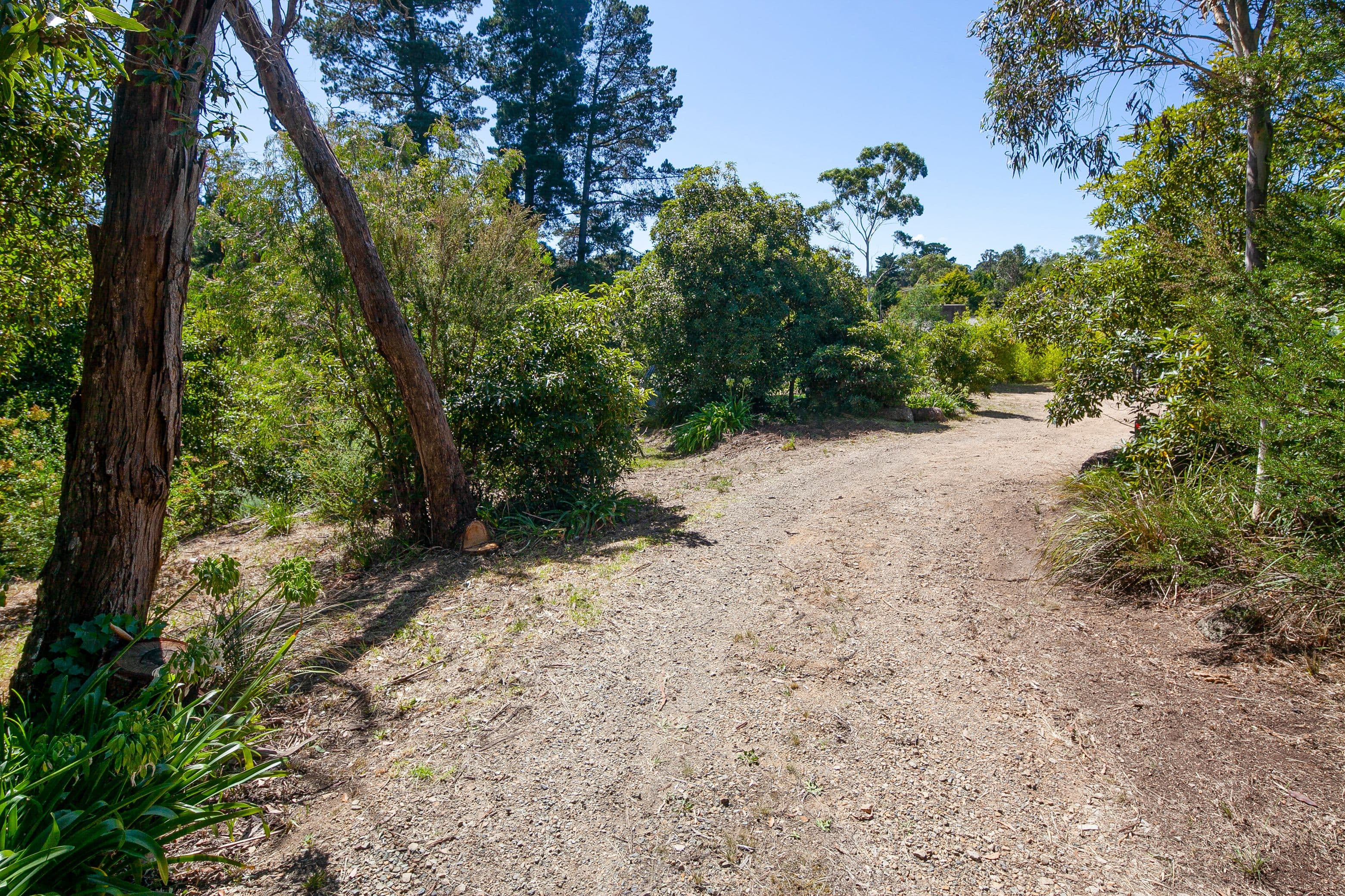 249 Canadian Bay Road, Mount Eliza VIC 3930, Mount Eliza - Thumbnail 3