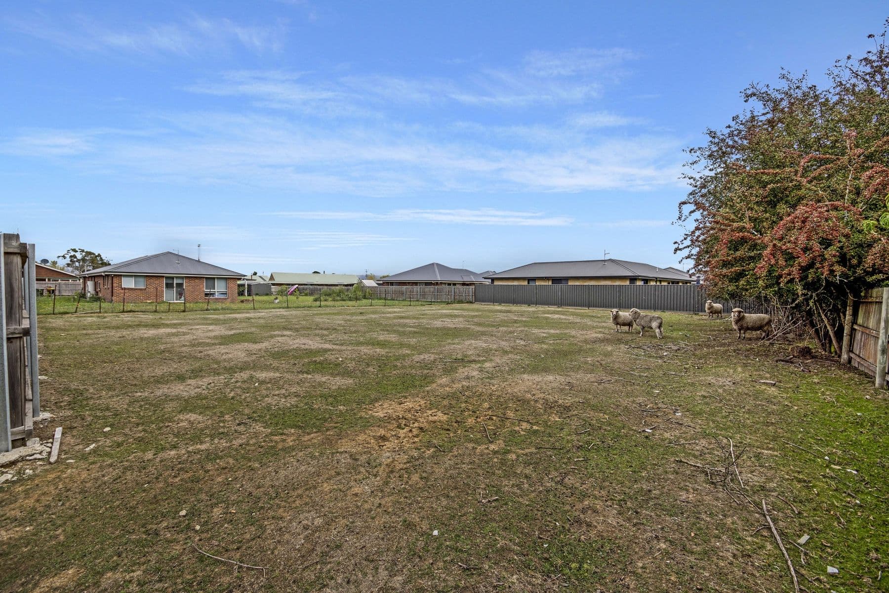 56 Pakenham Street, Longford TAS 7301, Longford - Thumbnail 3