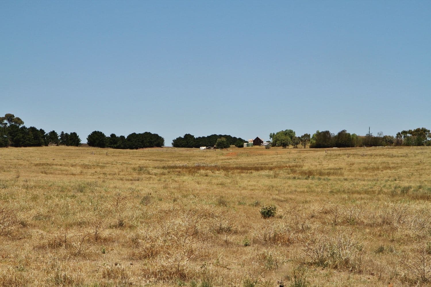 132 Tranter Road, Toolleen VIC 3551, Toolleen - Thumbnail 8