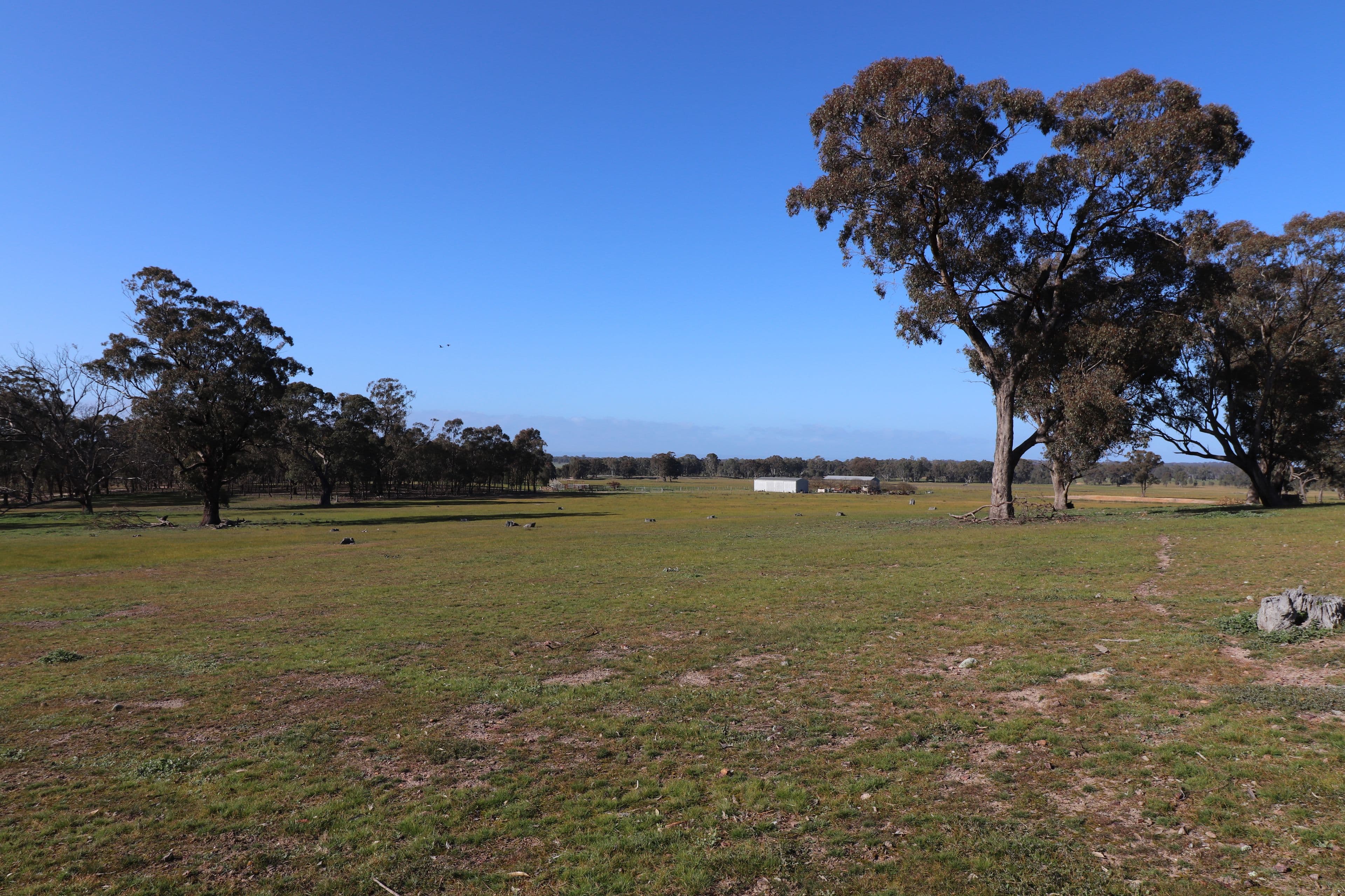 195 Camp Road, Murchison VIC 3610, Murchison - Thumbnail 8