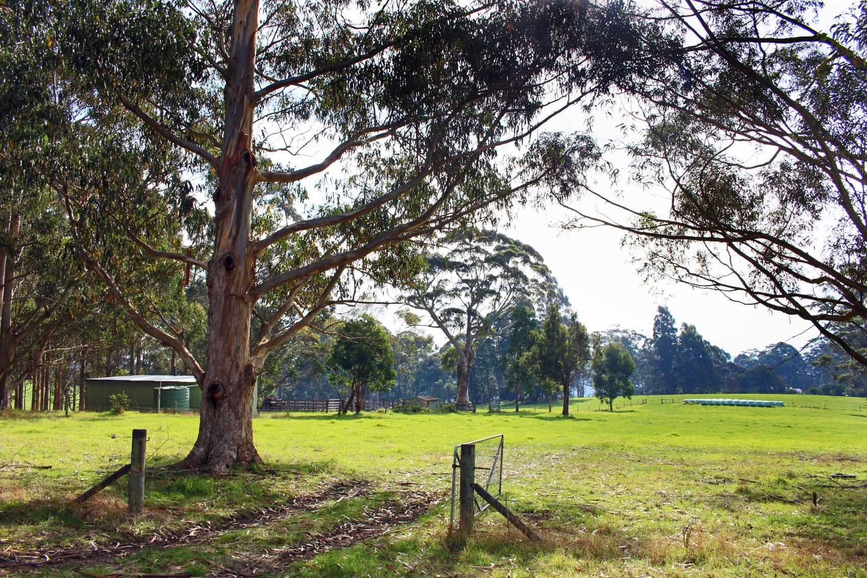 31 Pittam Way, Denmark WA 6333, Denmark - Image 1