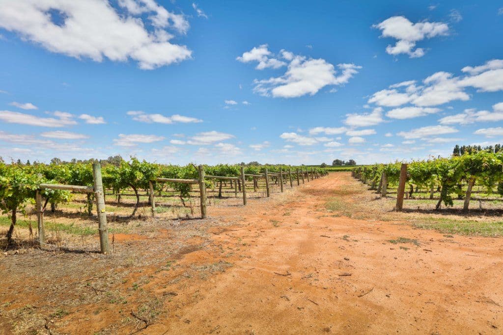 5721 Sturt Highway, Monak NSW 2738, Monak - Thumbnail 4