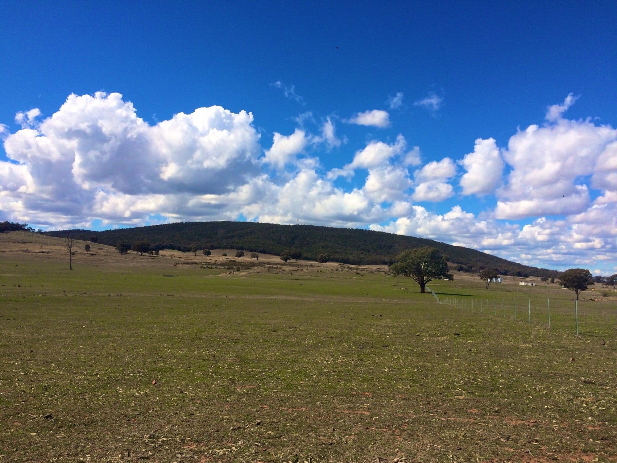 Lot 2 Fragar Road, Cowra NSW 2794, Cowra - Thumbnail 7