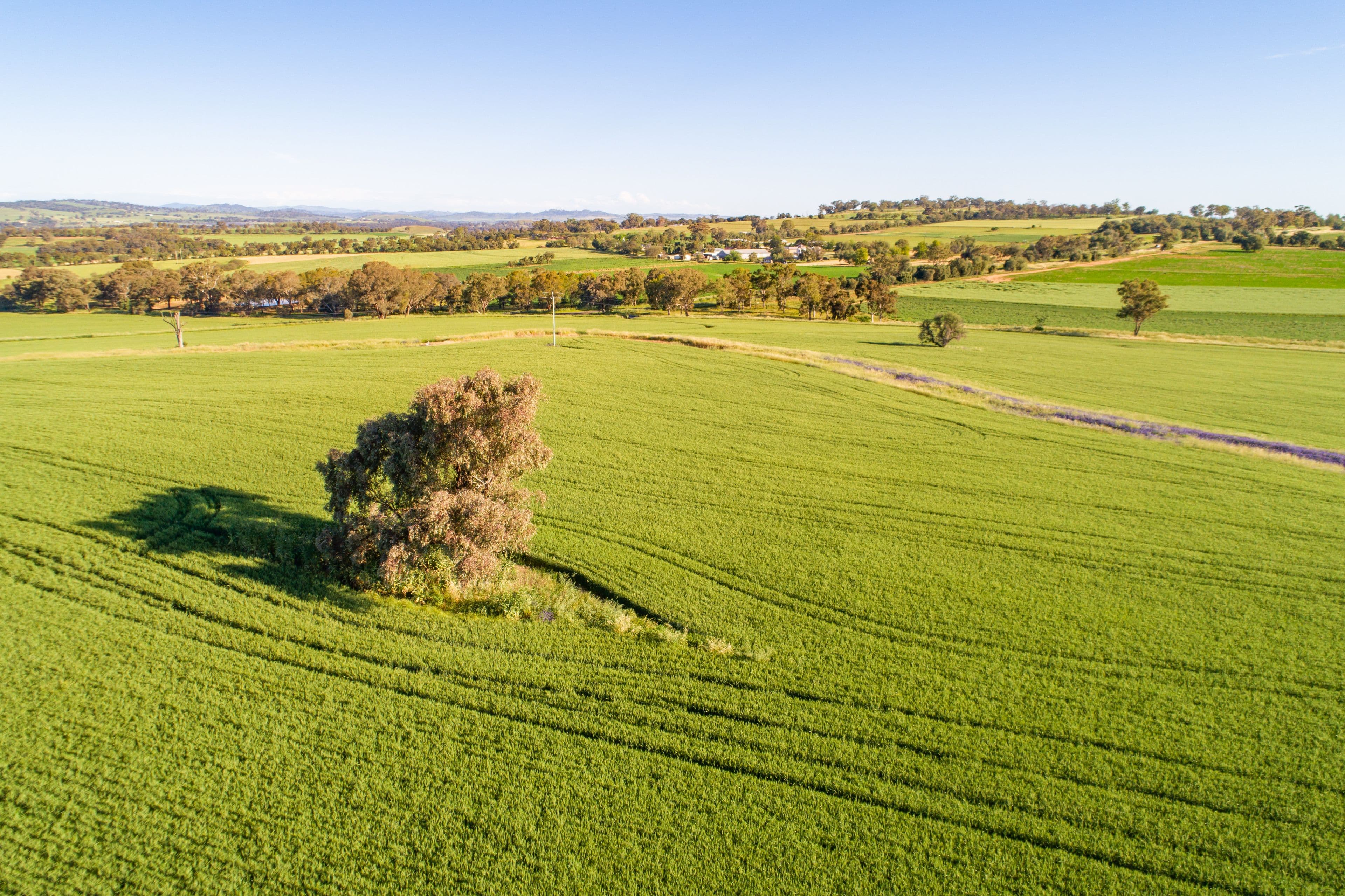 Cowra NSW 2794, Cowra - Thumbnail 7