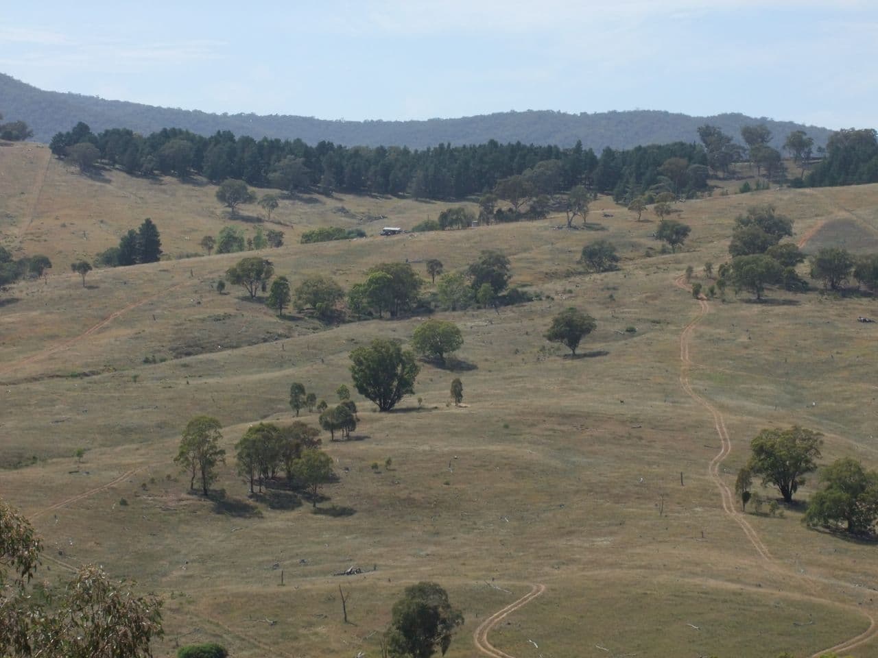 Sofala NSW 2795, Sofala - Image 1