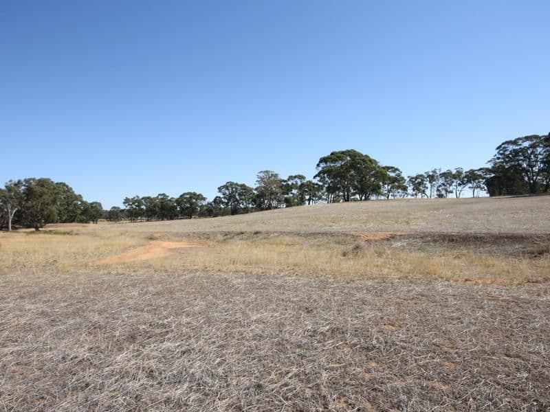 569 Wychitella Road, Wedderburn VIC 3518, Wedderburn - Thumbnail 2