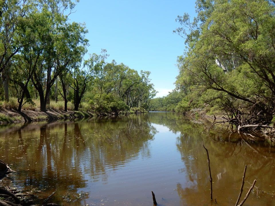 "Bardia" 2627 Baralaba-Rannes Road, BARALABA QLD 4702, Baralaba - Thumbnail 6