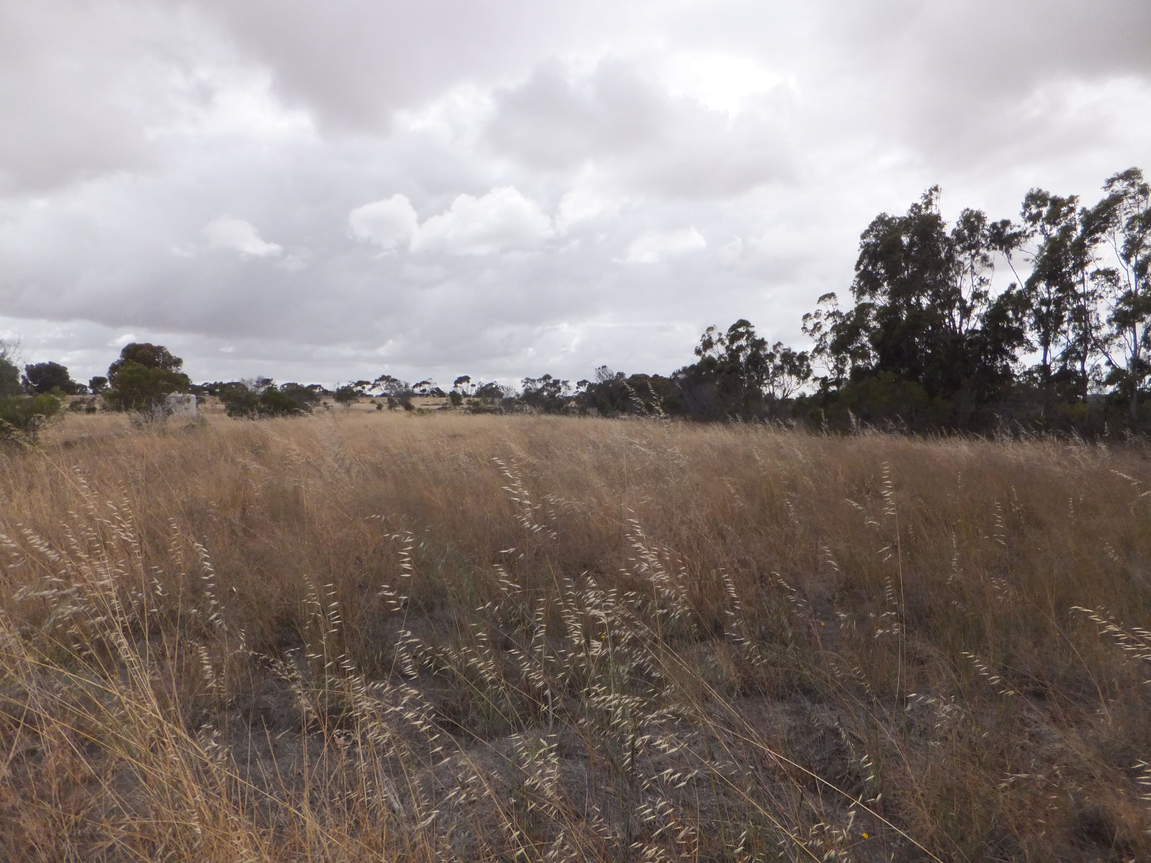 18 Blue Vista, Hopetoun WA 6348, Hopetoun - Thumbnail 2