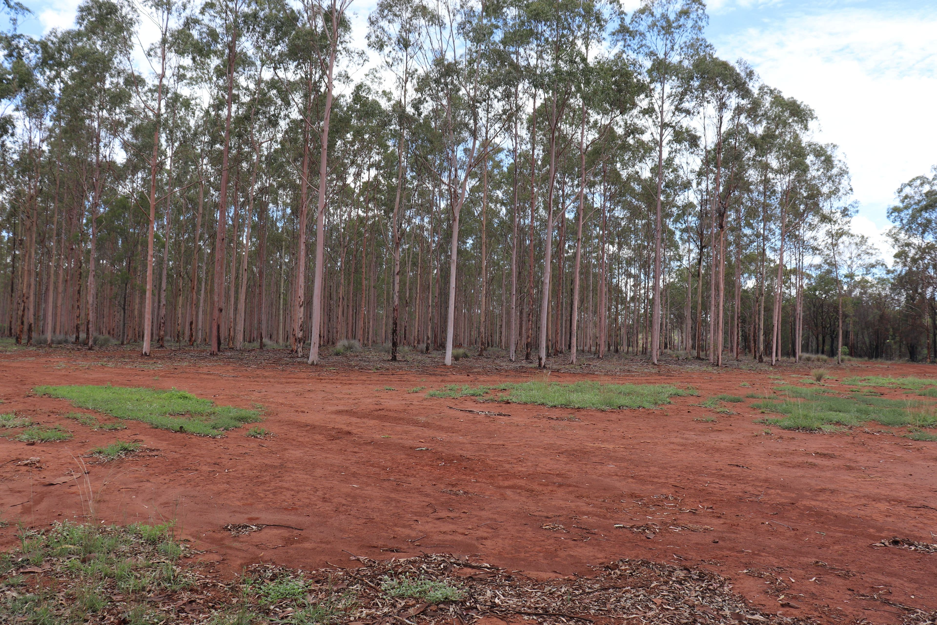 Mathisen Off Humphrey-Binjour Road, Binjour QLD 4625, Binjour - Thumbnail 3