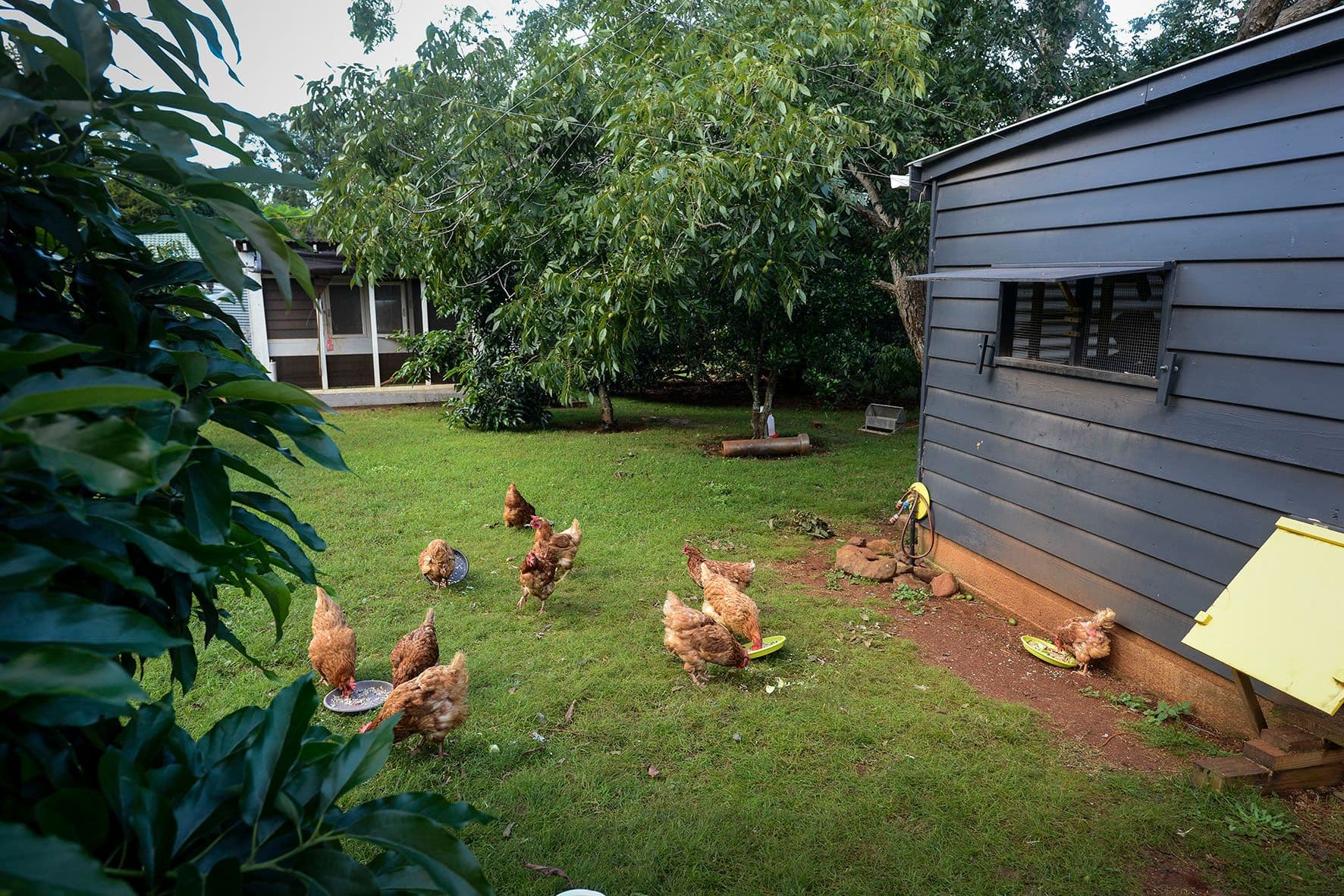 147 Obi Obi Road, Mapleton QLD 4560, Mapleton - Thumbnail 6