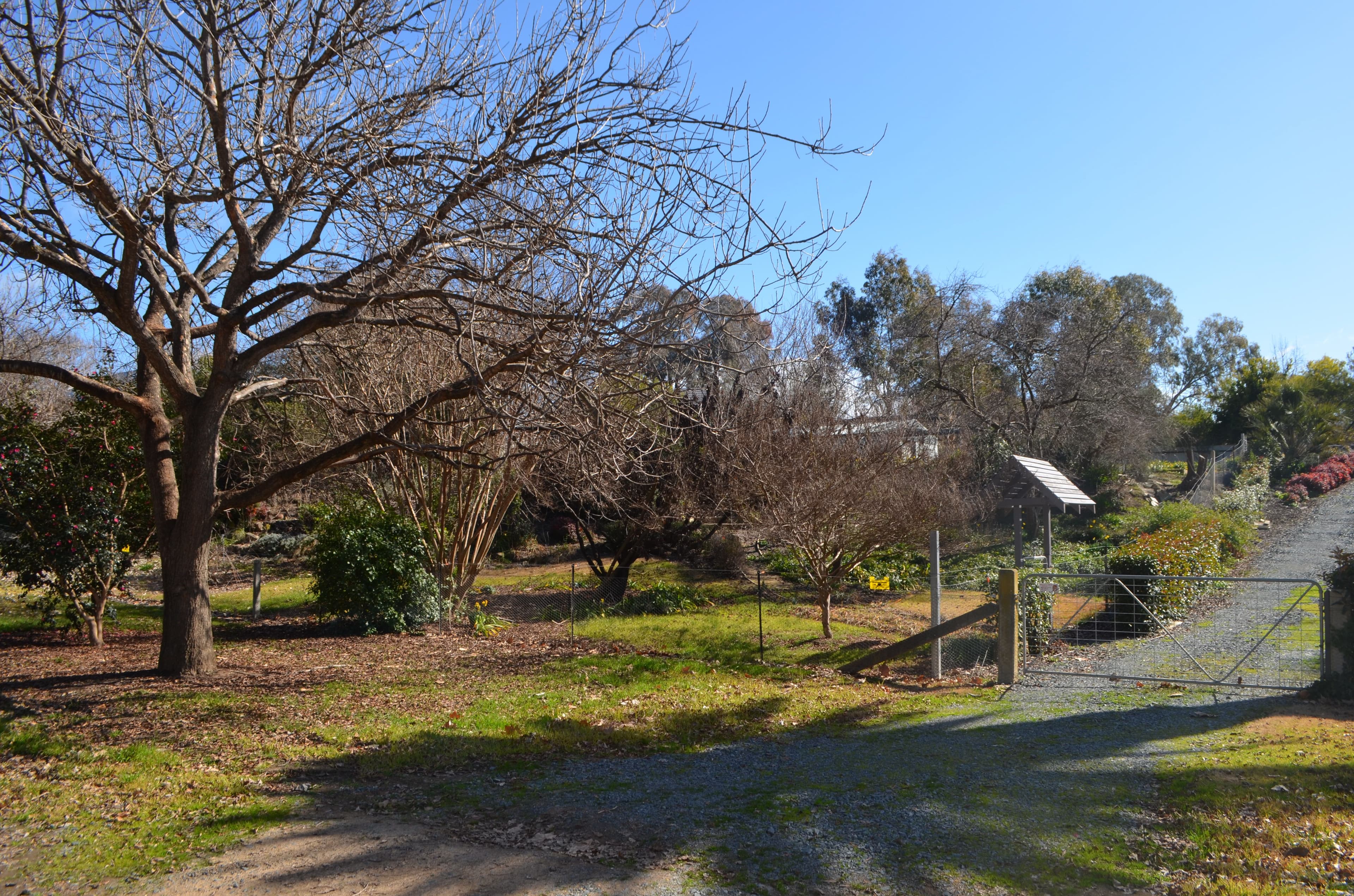 3 Richmond Street, Tumut NSW 2720, Tumut - Thumbnail 4