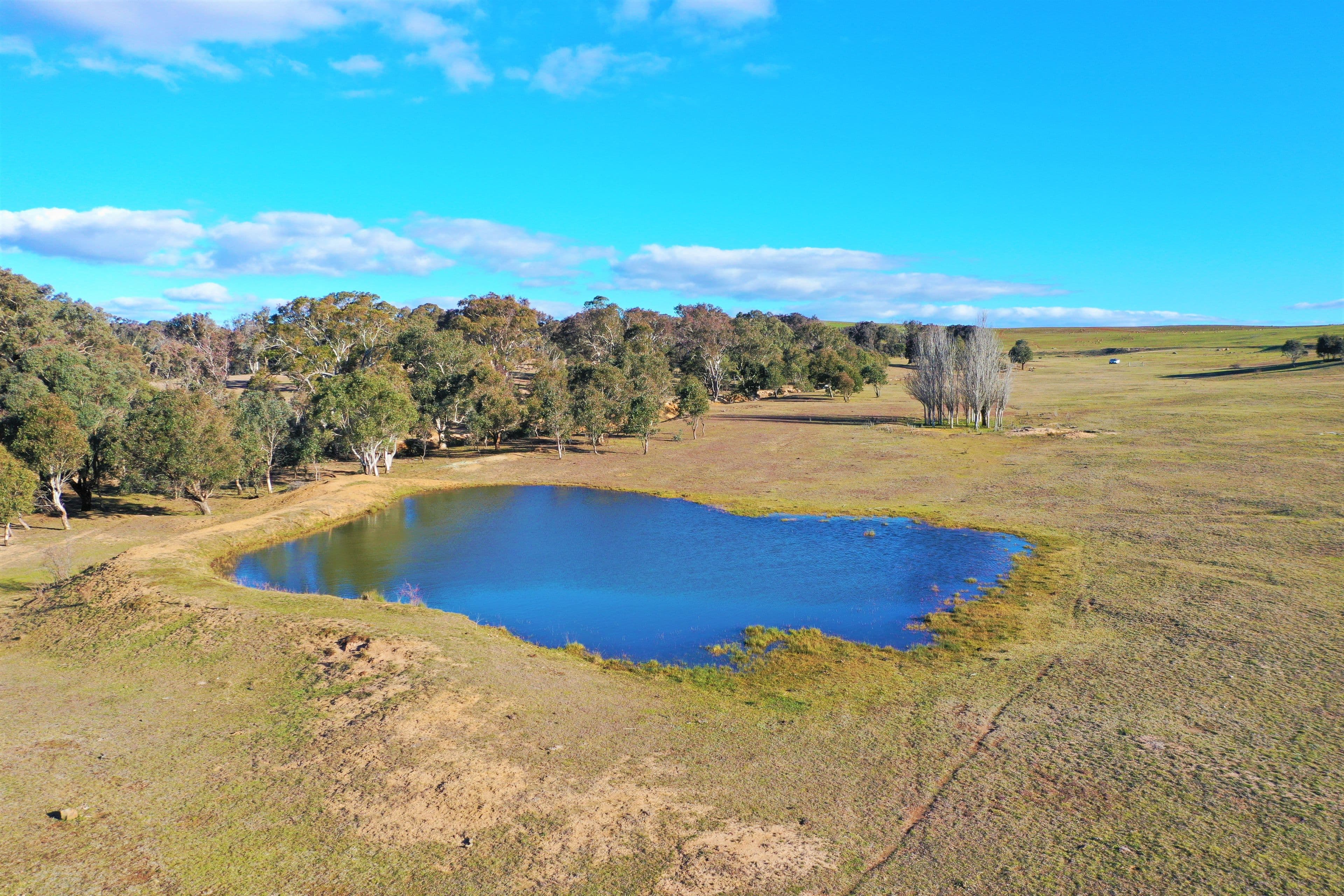 190 Pooleys Lane, Goulburn NSW 2580, Goulburn - Thumbnail 8