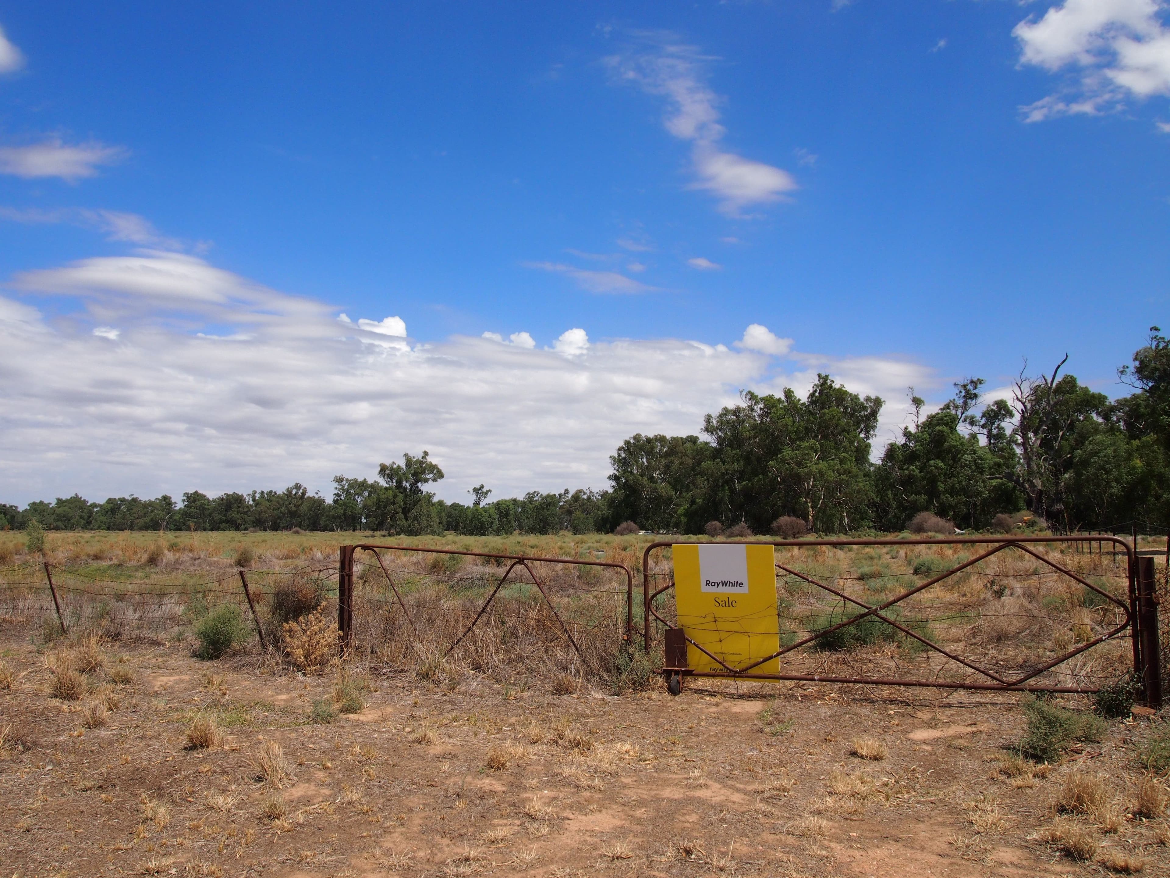 374 North Forbes Road, Condobolin NSW 2877, Condobolin - Thumbnail 2