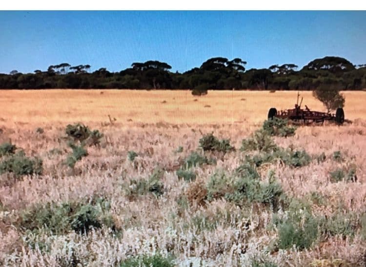 Lot 7112 Wubin Mullewa Road, Latham WA 6616, Latham - Thumbnail 2