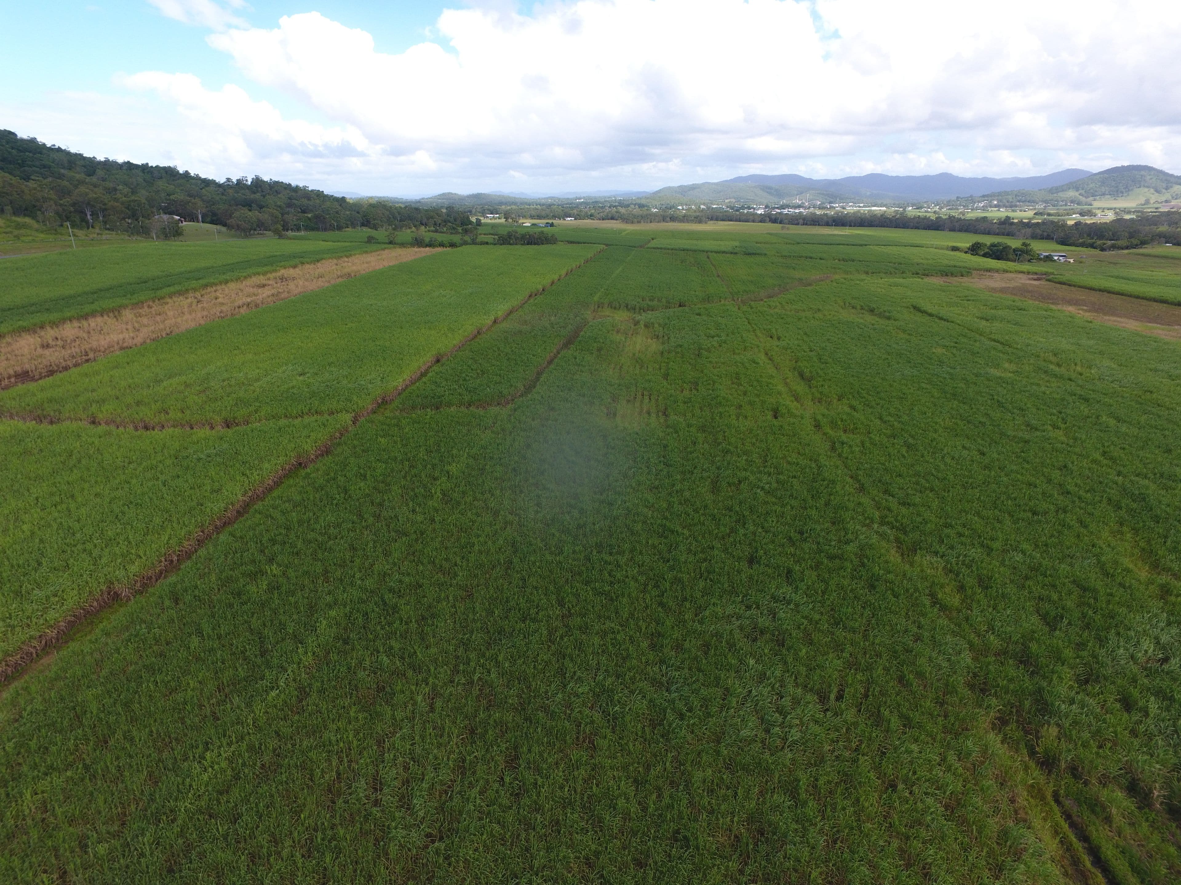 0 Vella Road, Sarina QLD 4737, Sarina - Thumbnail 2