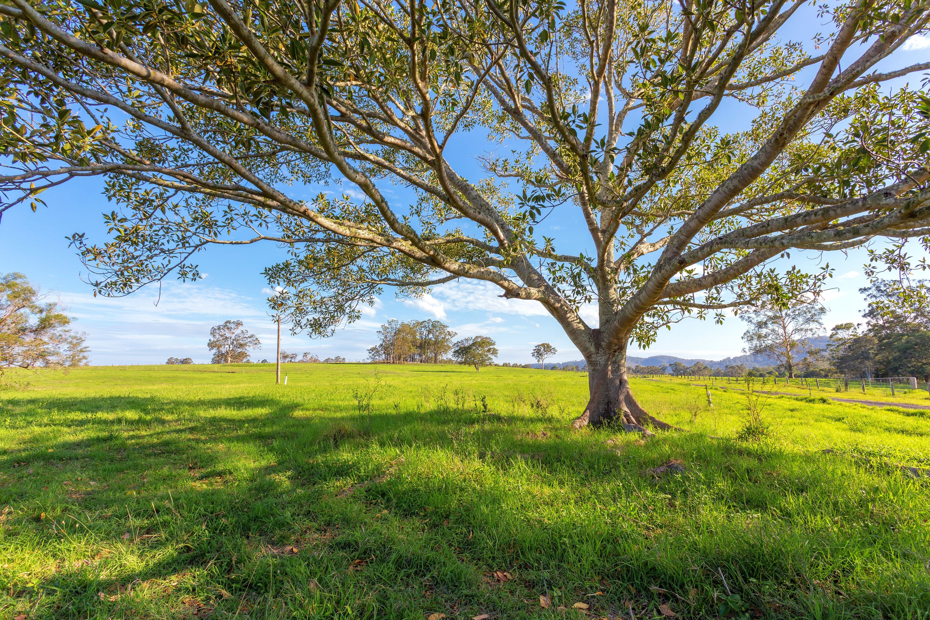 564 Kimbriki Road, Wingham NSW 2429, Wingham - Thumbnail 7