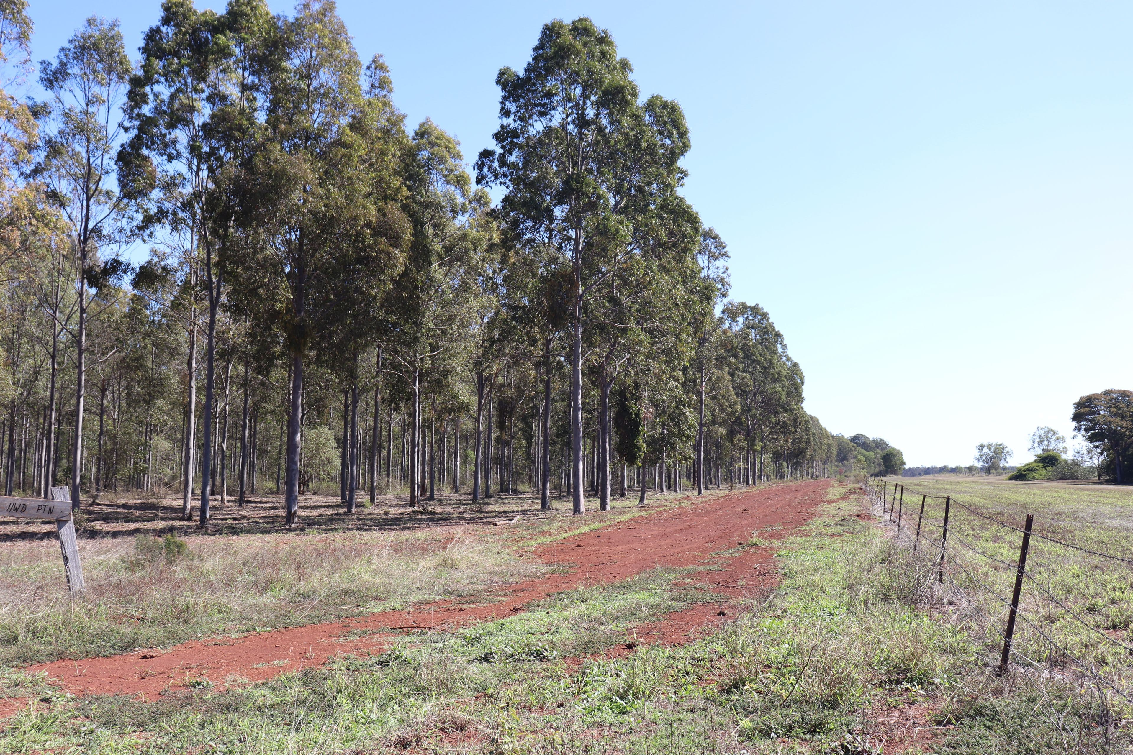 3 Offerings Top Gurgeena Road, Gurgeena QLD 4626, Gurgeena - Thumbnail 5