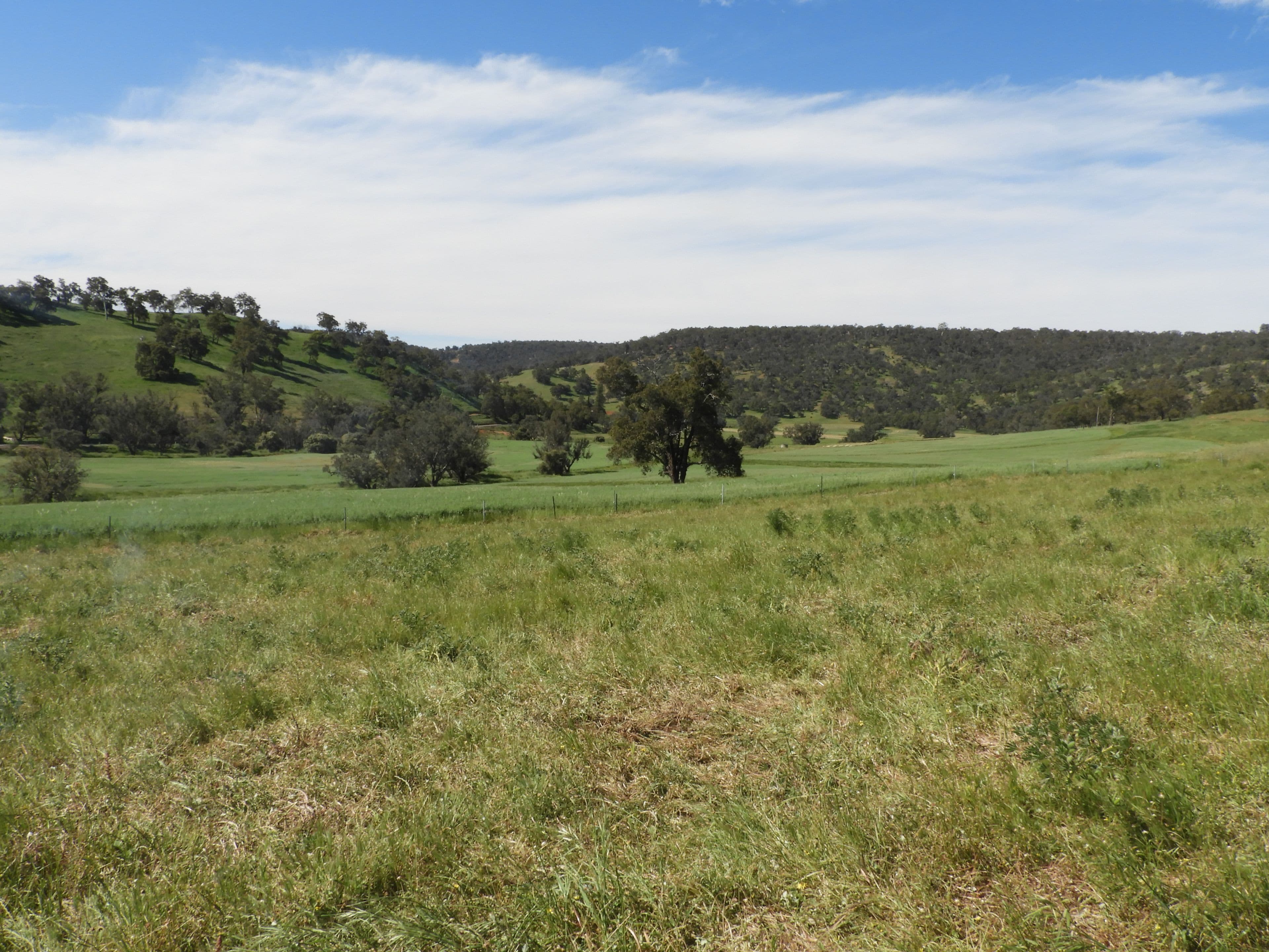 Lot 713 Chittering Rd Lower Chittering, Chittering WA 6084, Chittering - Thumbnail 8