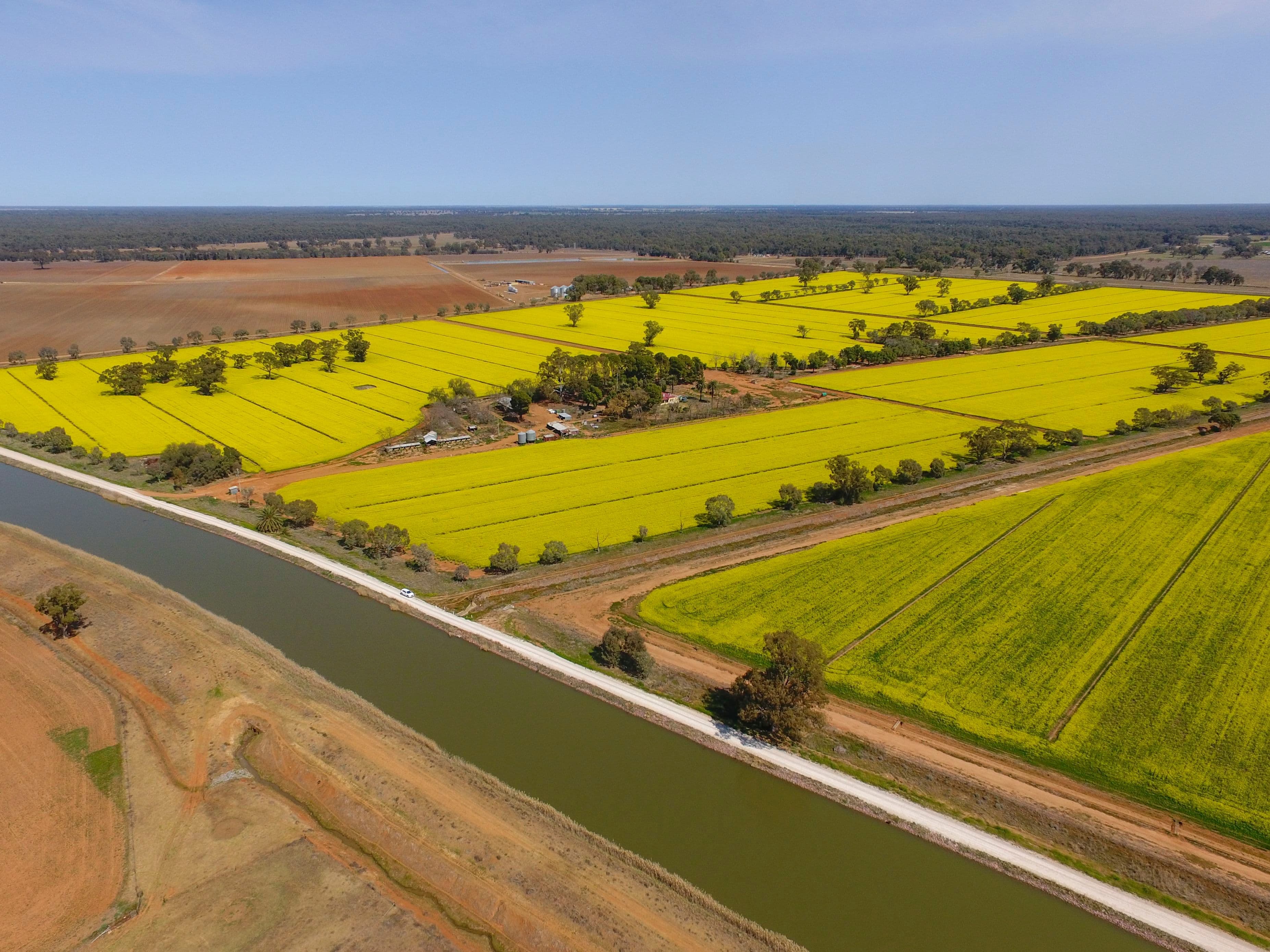 Yanco NSW 2703, Yanco - Thumbnail 2