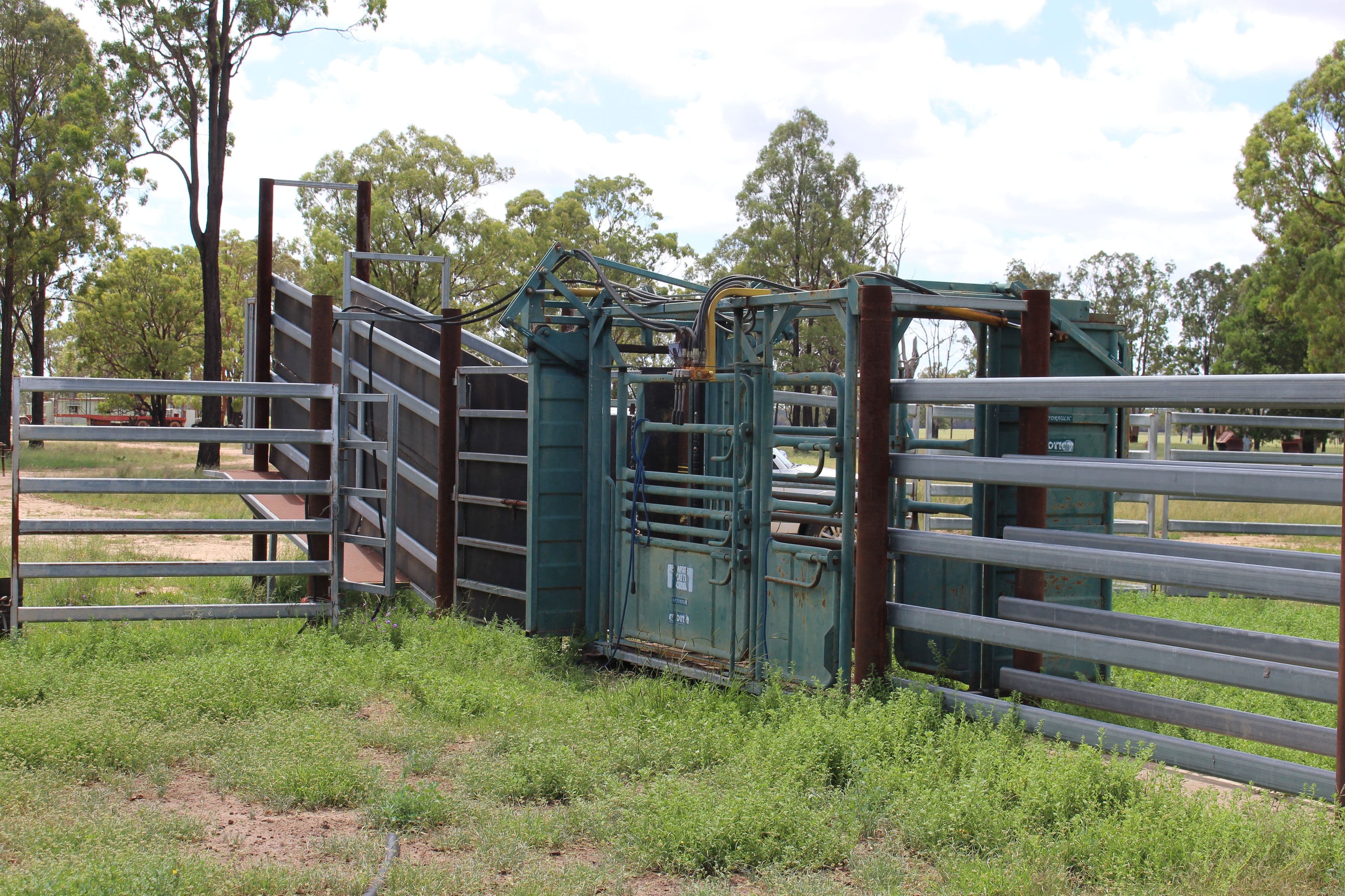 2811 Lockwood Rd, Kurrowah, Millmerran QLD 4357, Millmerran - Thumbnail 8