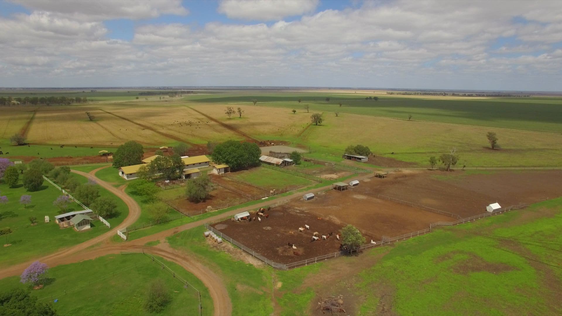 1251 Bunya Highway, Dalby QLD 4405, Dalby - Thumbnail 3