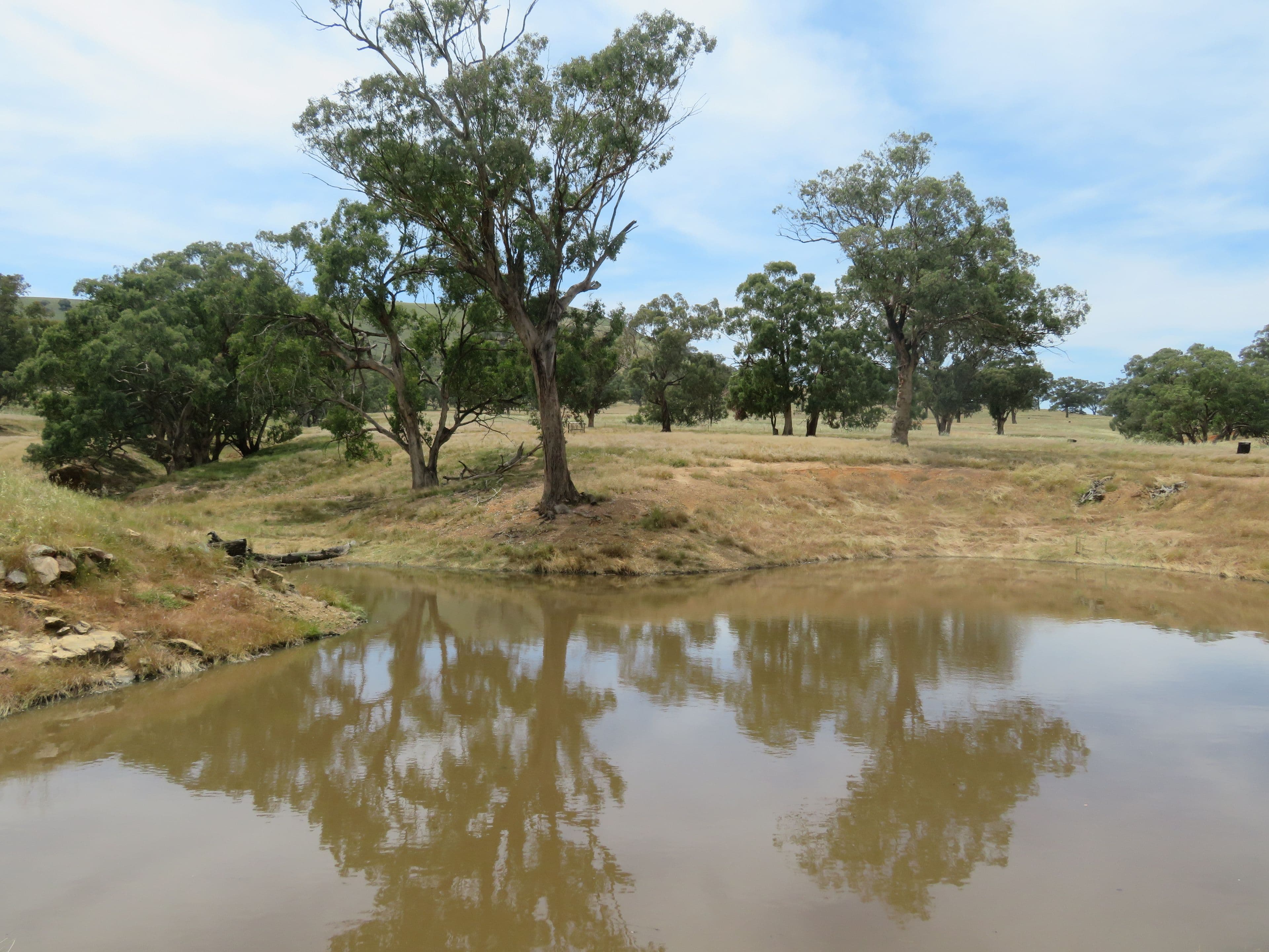 5 Oakhills Road (Nangus), Gundagai NSW 2722, Gundagai - Thumbnail 3