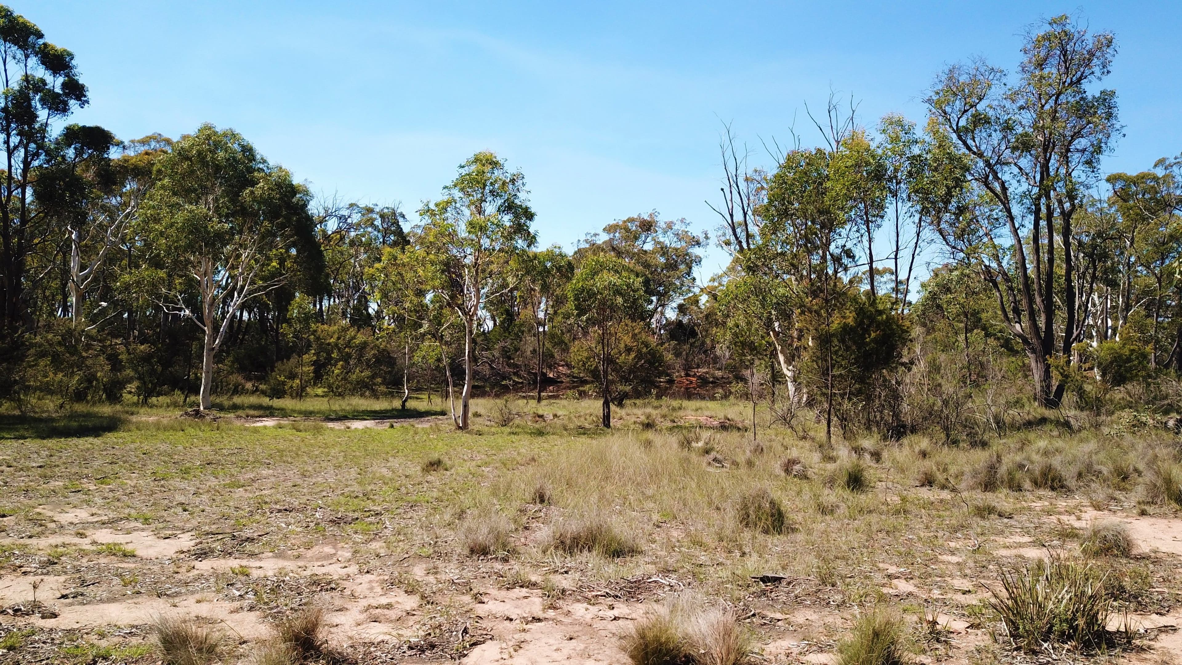 104 Masons and Owens Road, Goulburn NSW 2580, Goulburn - Thumbnail 2