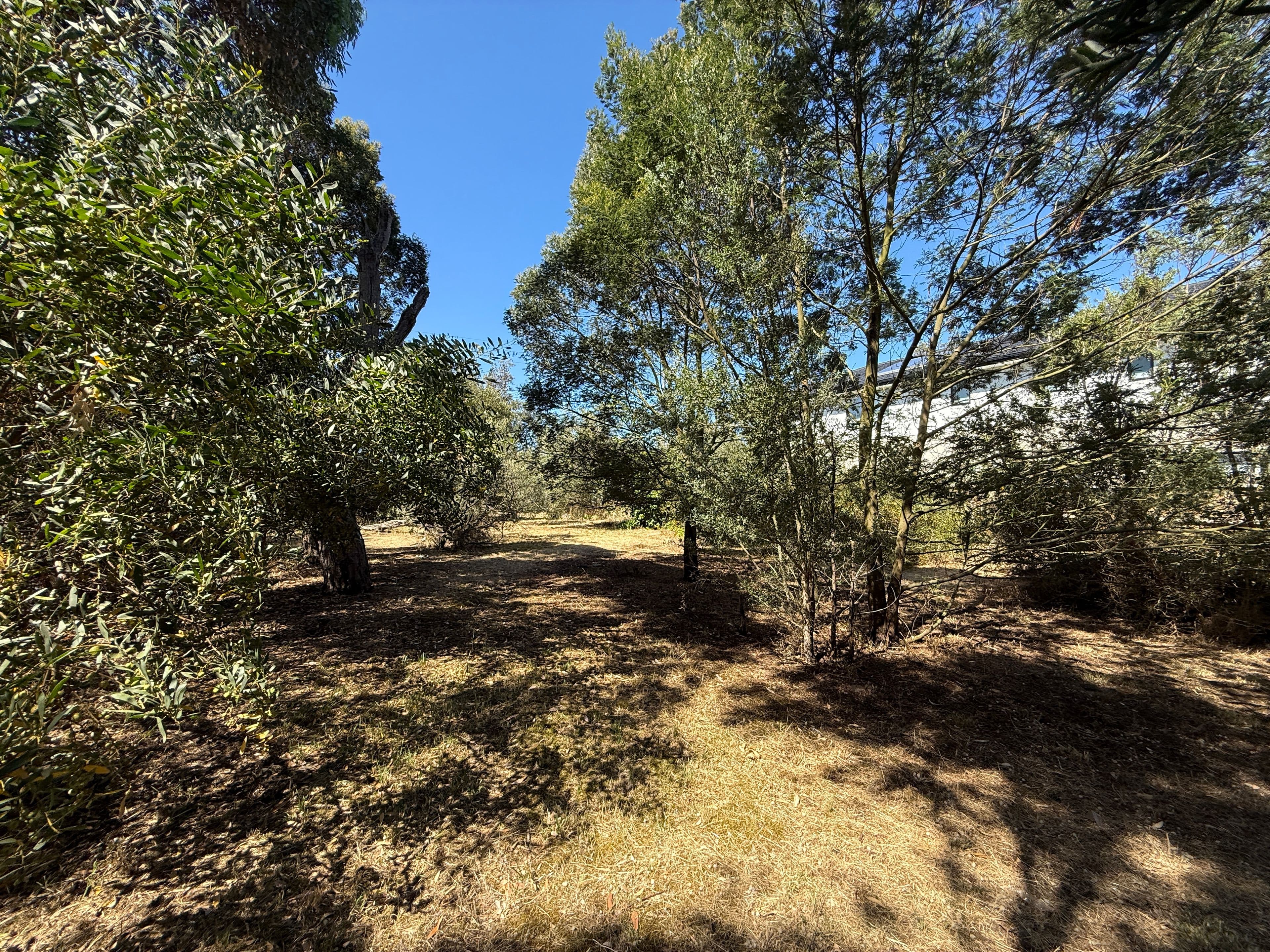 105 Swans Way, Capel Sound VIC 3940, Capel Sound - Thumbnail 7