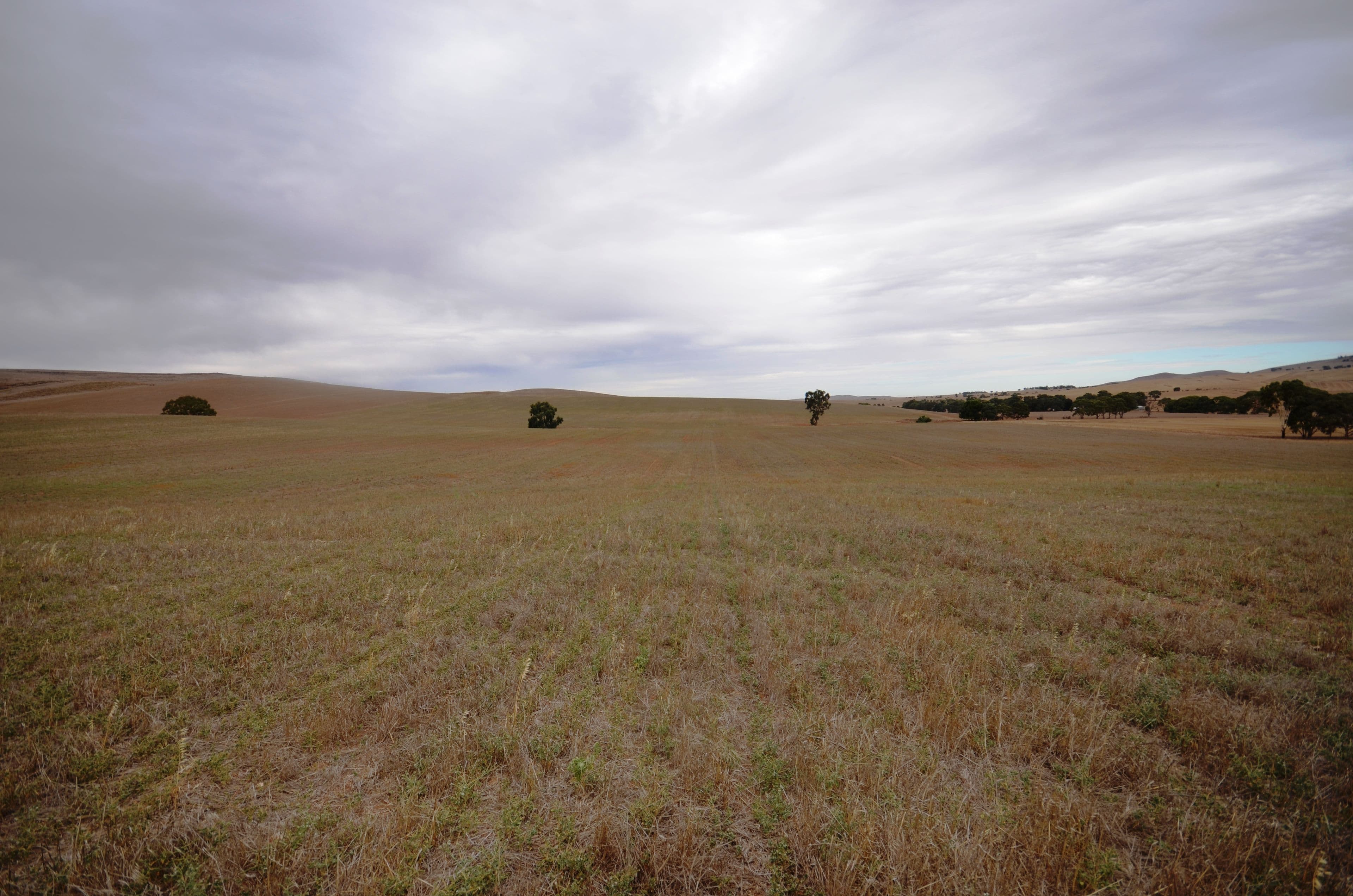 "Harveys" Pattersons Road, GULNARE SA 5471, Gulnare - Thumbnail 3