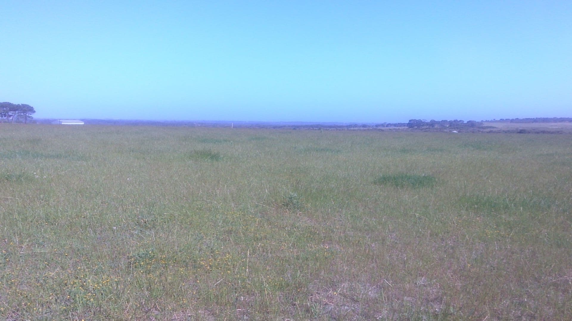 Lot 2 Myrup Road, Myrup WA 6450, Myrup - Image 1
