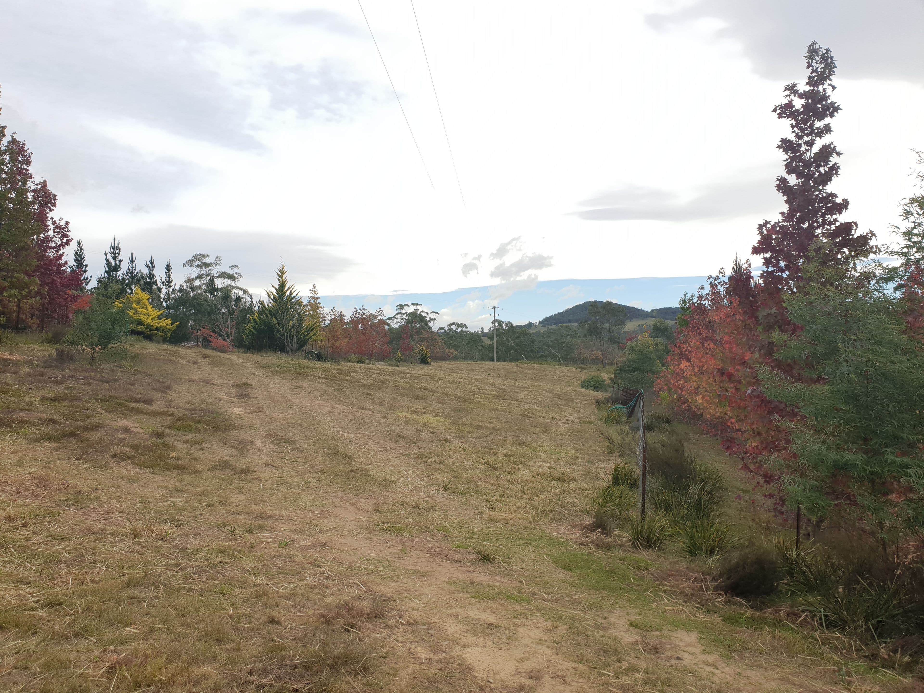 1821 Cooma Road, Bendoura NSW 2622, Bendoura - Thumbnail 7