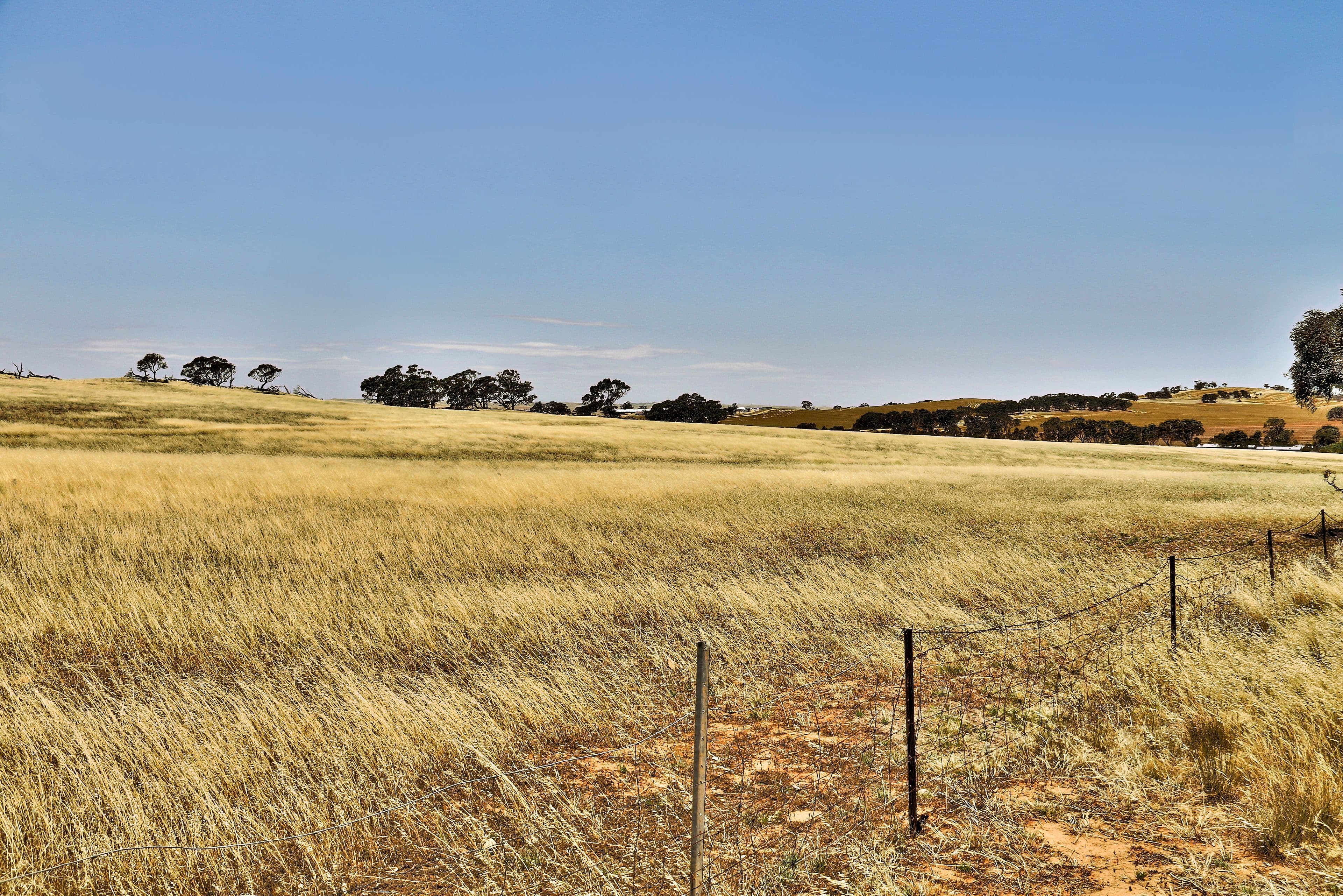 "Tarnma Block" Curio Highway, HAMPDEN SA 5374, Hampden - Thumbnail 6
