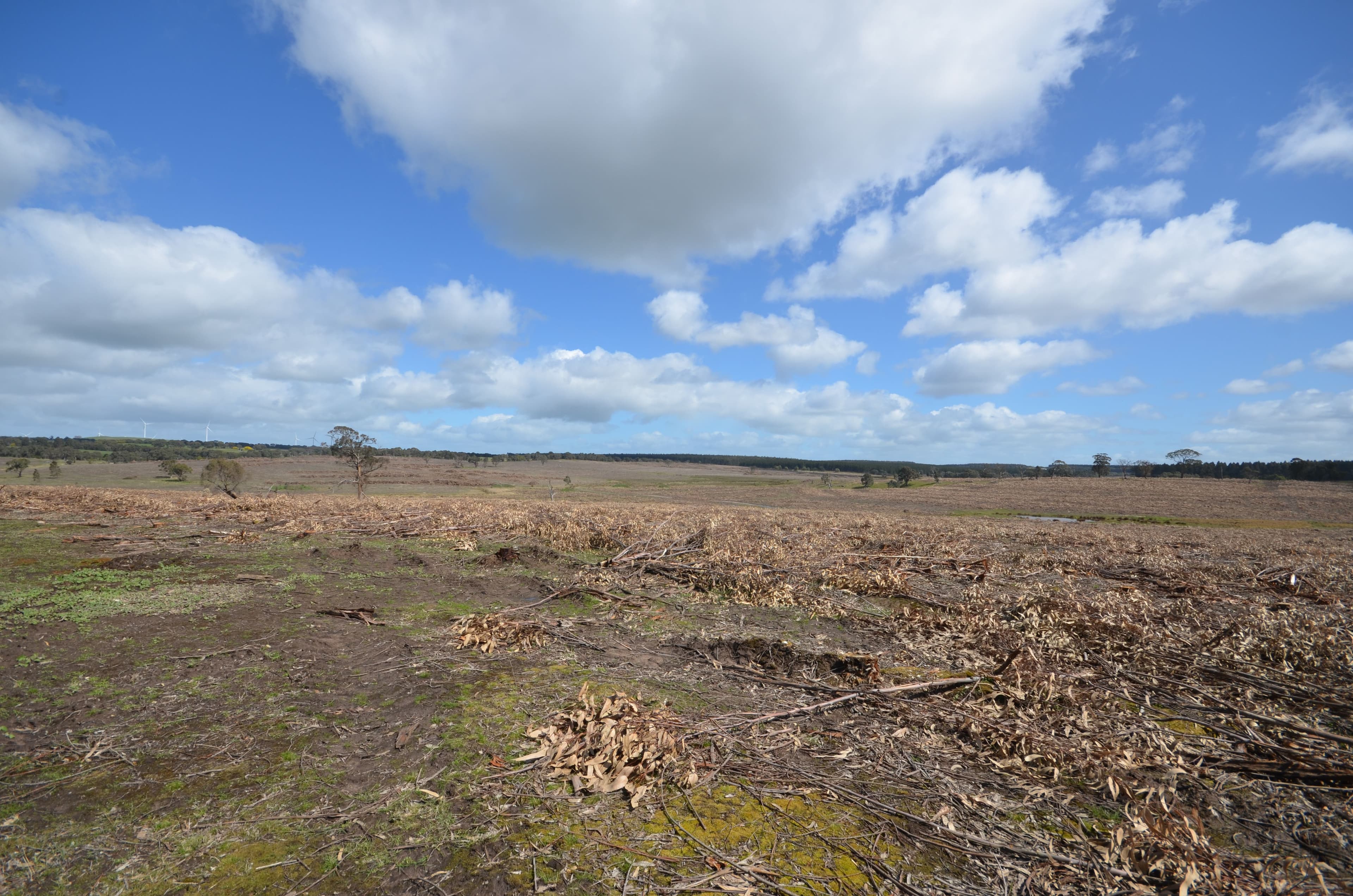 "Aitken" Bunninyong - Mount Mercer Road, GRENVILLE VIC 3352, Grenville - Image 1