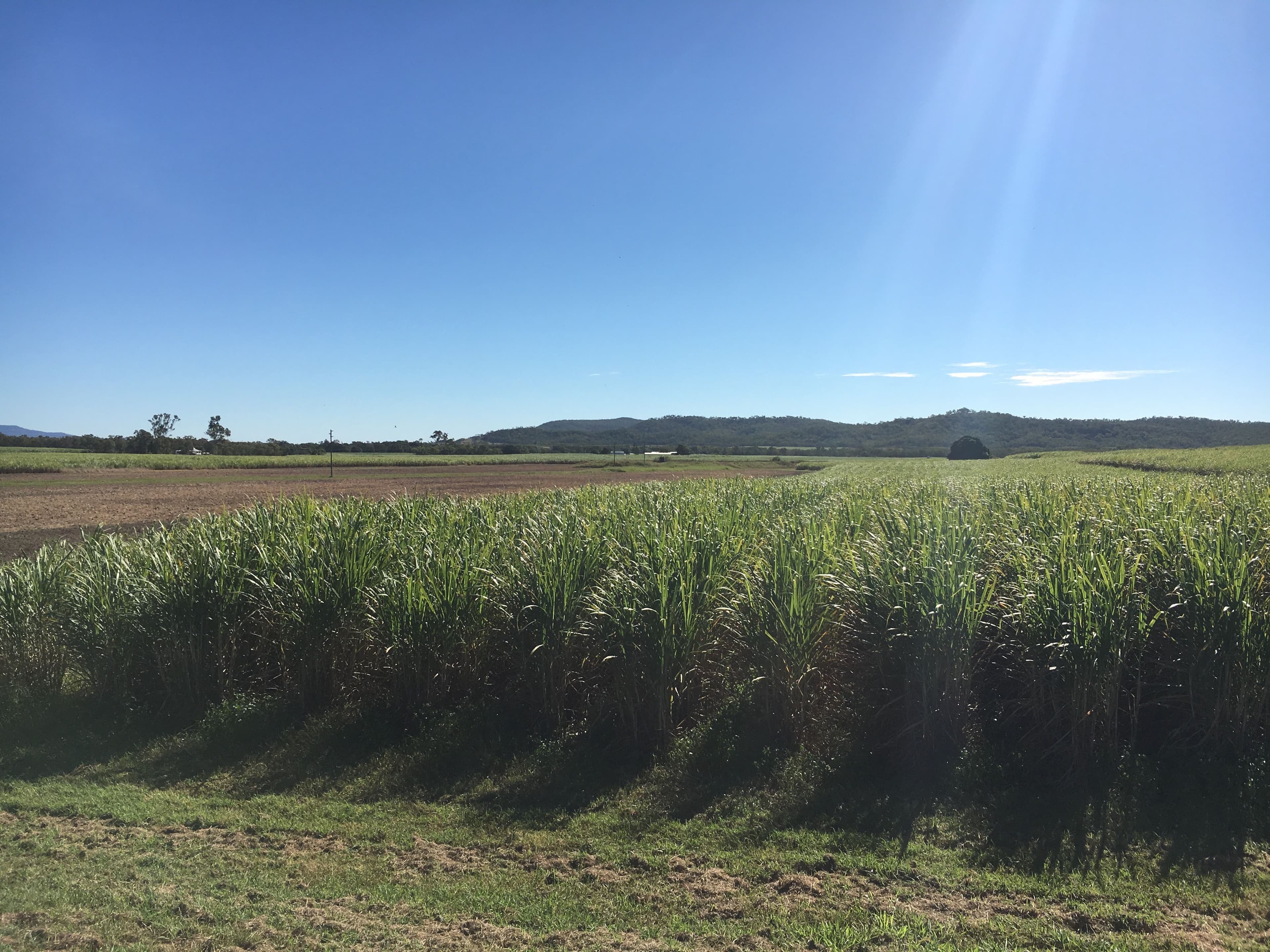 75 Cone Creek Road, Koumala QLD 4738, Koumala - Thumbnail 5