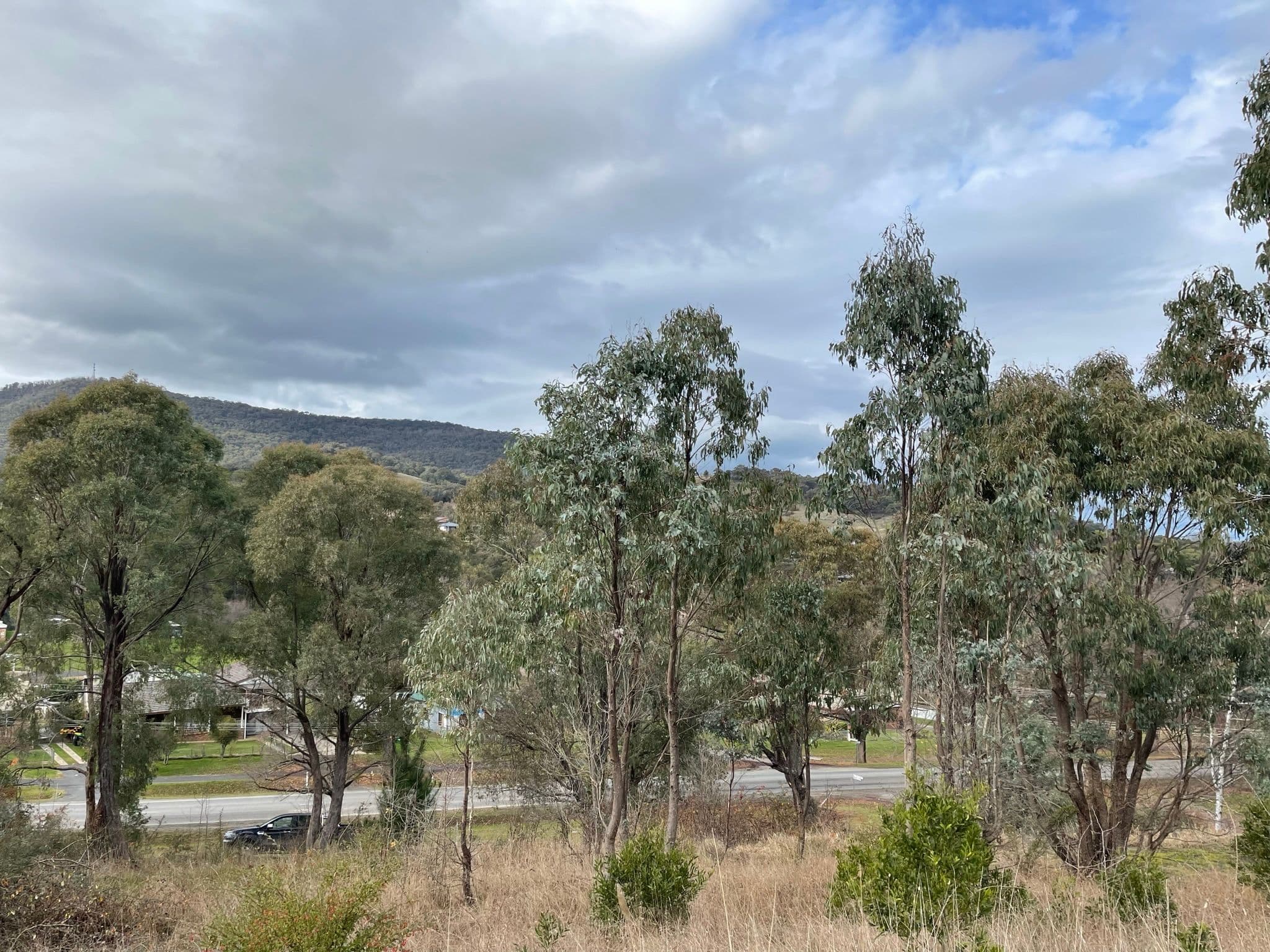 Tumbarumba NSW 2653, Tumbarumba - Thumbnail 6