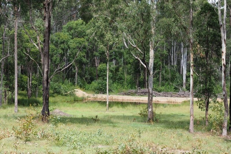 4275 Maryborough Biggenden Road, Aramara QLD 4620, Aramara - Thumbnail 7