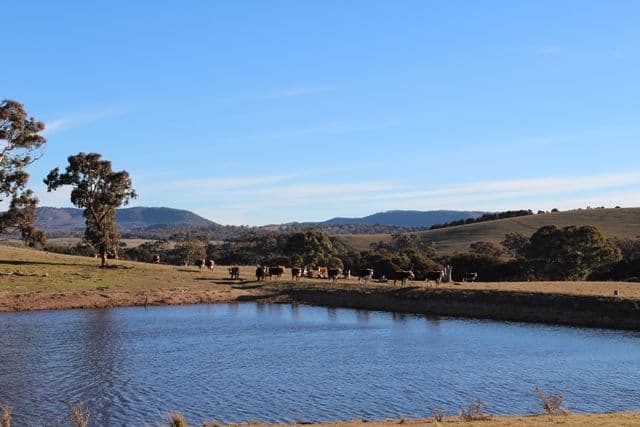 1887 Hazelgrove Road, Tarana NSW 2787, Tarana - Thumbnail 7
