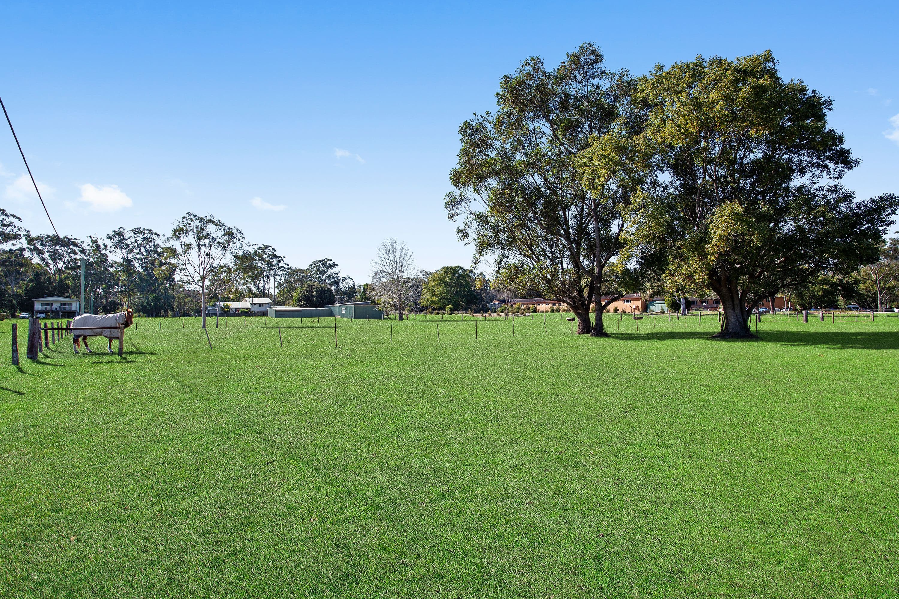 55 McPherson Road, Mardi NSW 2259, Mardi - Thumbnail 5