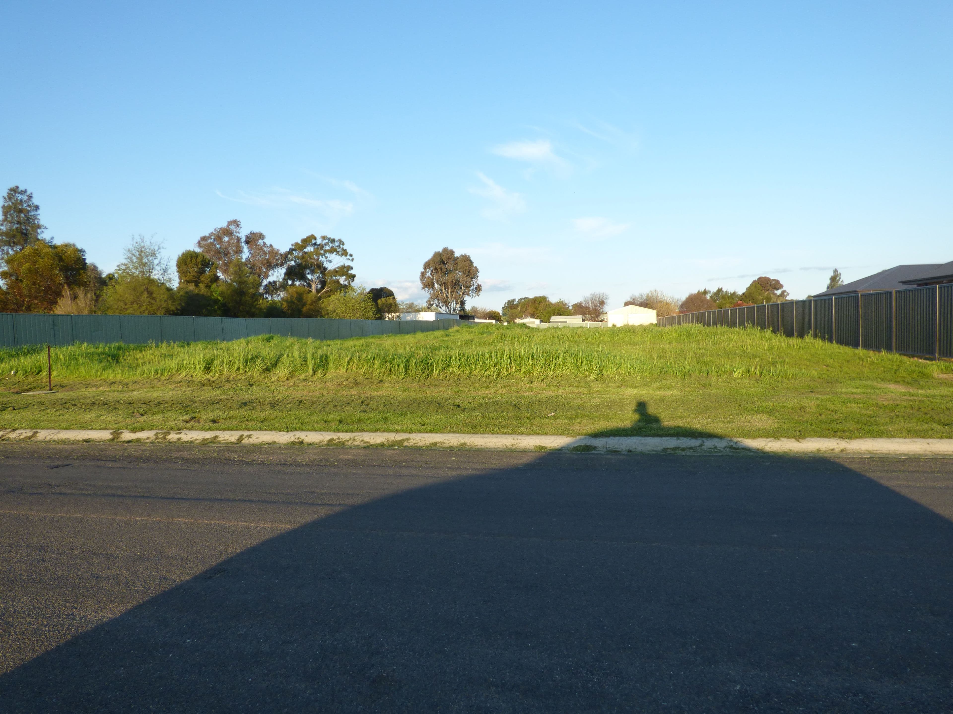 55 York Street, Forbes NSW 2871, Forbes - Thumbnail 5