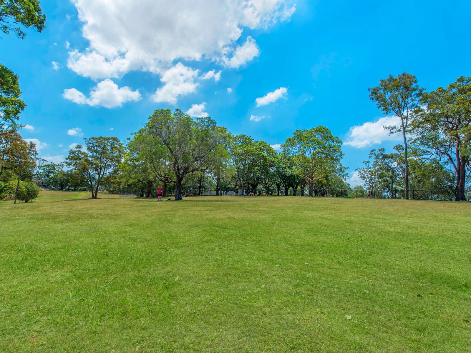 26 Diamond Street, Holland Park QLD 4121, Holland Park - Thumbnail 5
