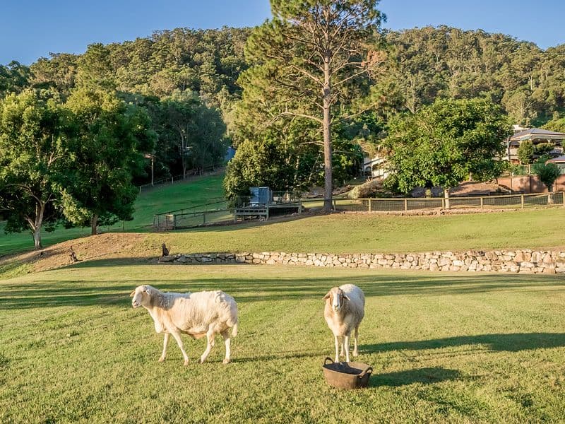 118 Crest Hill Drive, Wongawallan QLD 4210, Wongawallan - Thumbnail 3