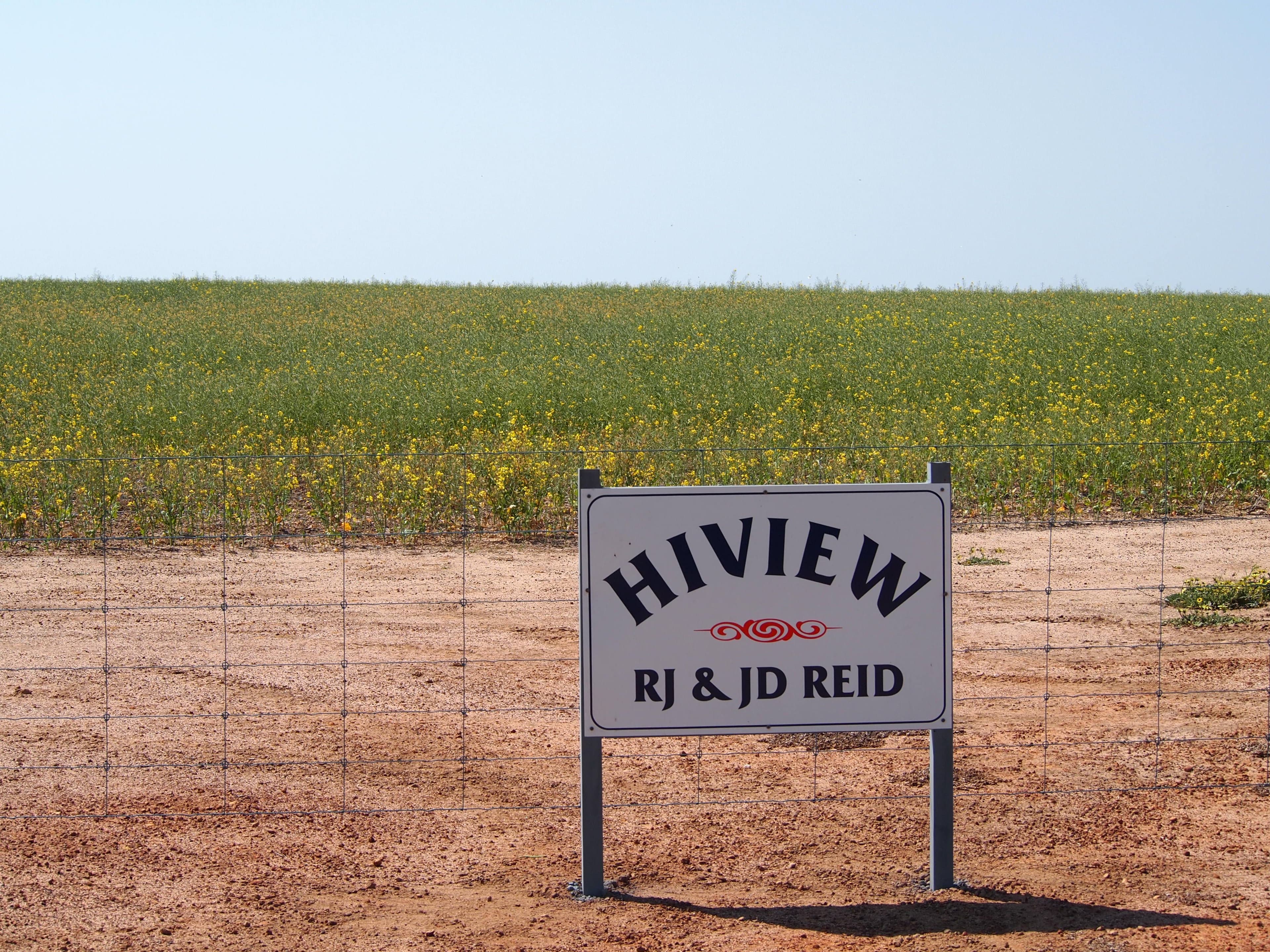 Hiview Steele Road, PINGRUP WA 6343, Pingrup - Thumbnail 5